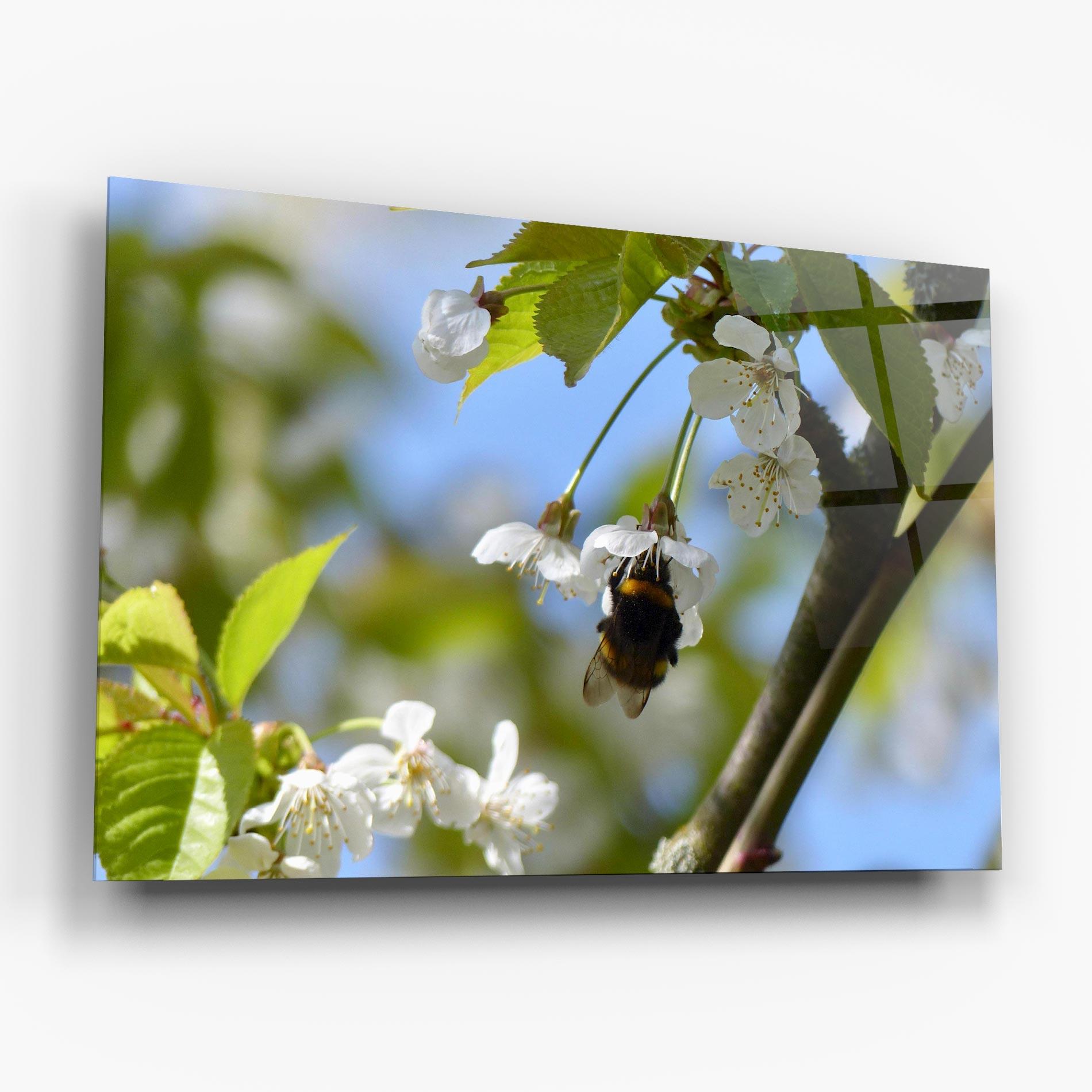 Üvegkép Bee Wild Tree mockup 6