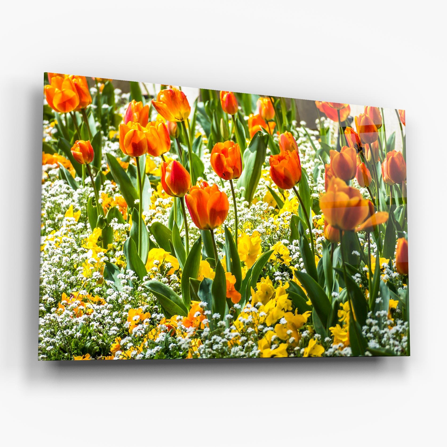 Üvegkép Colorful Tulips Garden mockup 6