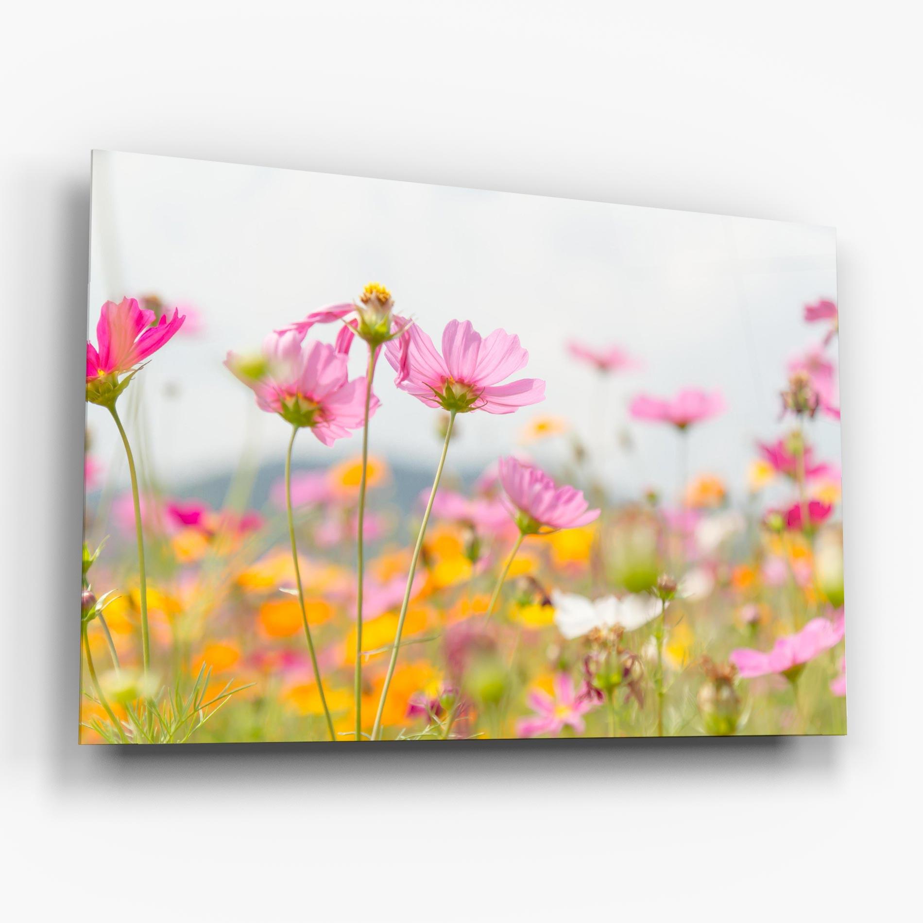 Üvegkép Cosmos Beauty Flowers mockup 6