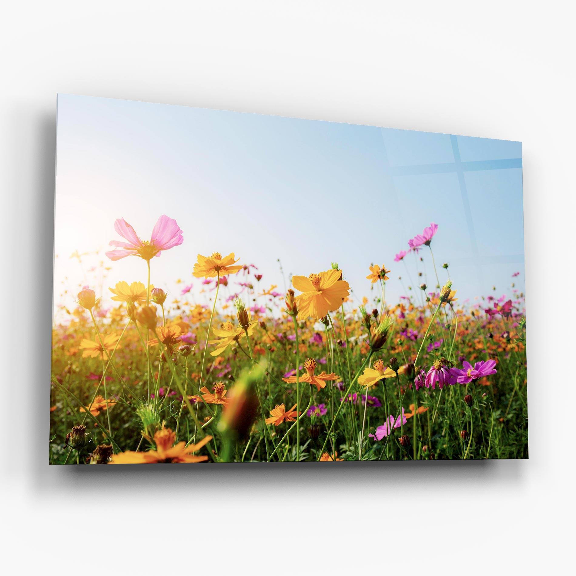 Üvegkép Cosmos Field Sunset mockup 6