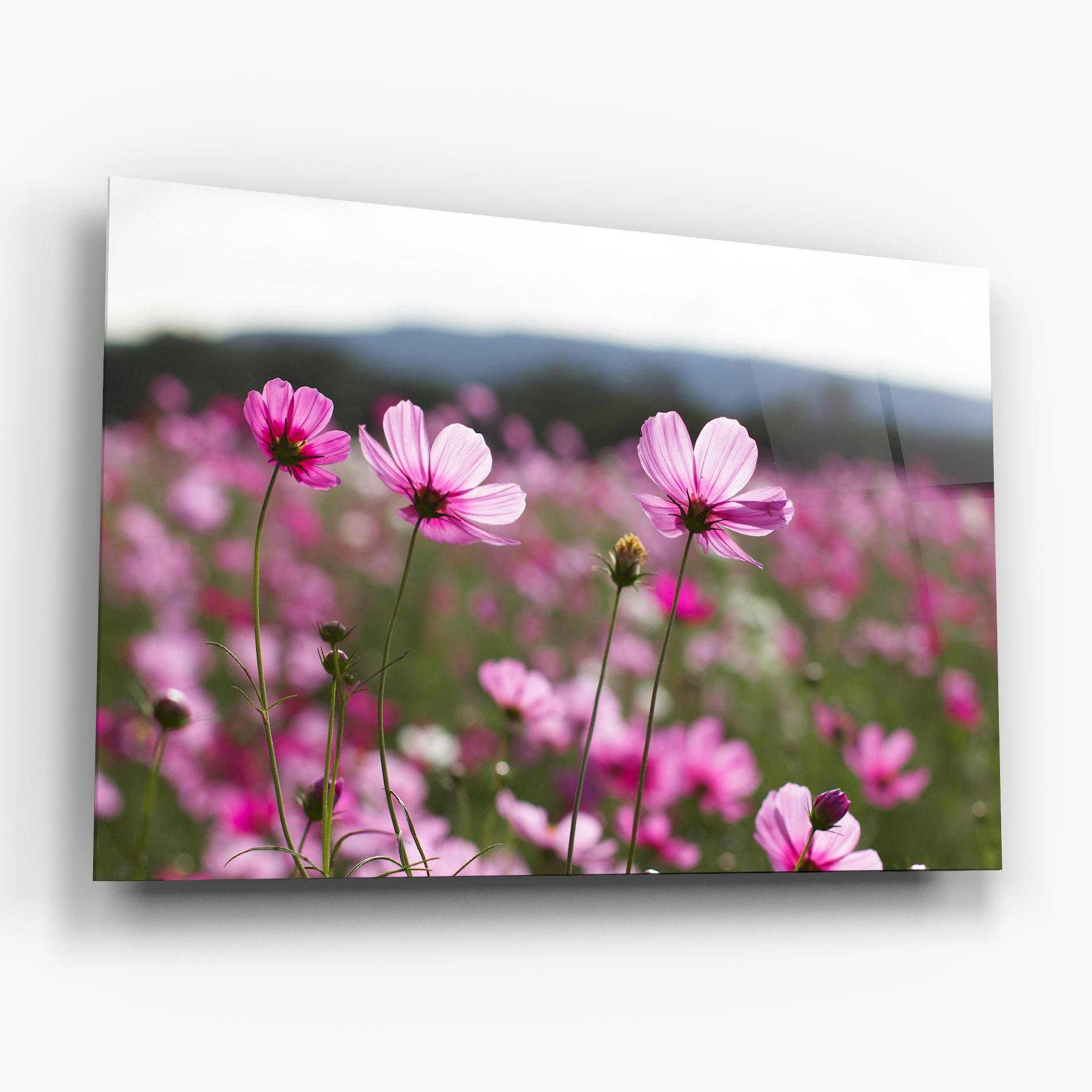 Üvegkép Cosmos Flower mockup 6