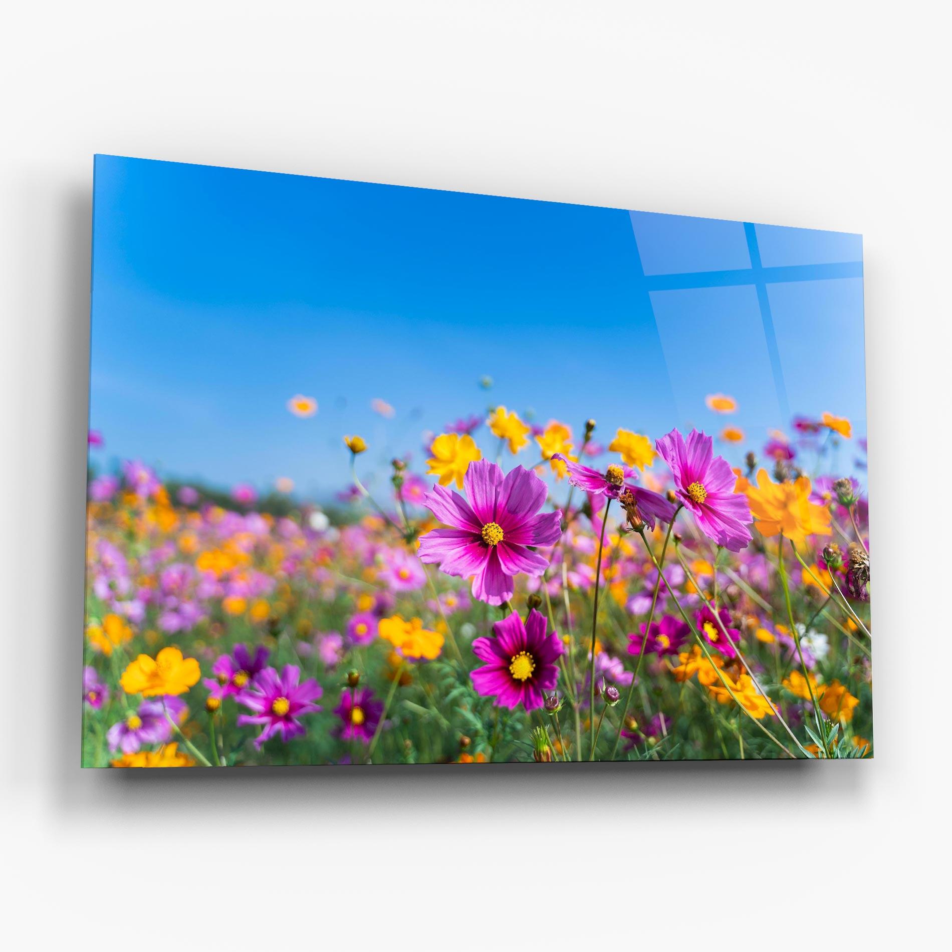 Üvegkép Cosmos Flowers Grassland mockup 6