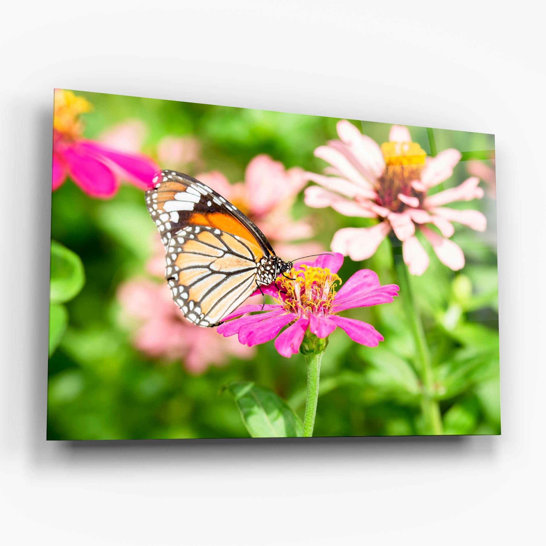 Üvegkép Daylight Butterfly mockup 6
