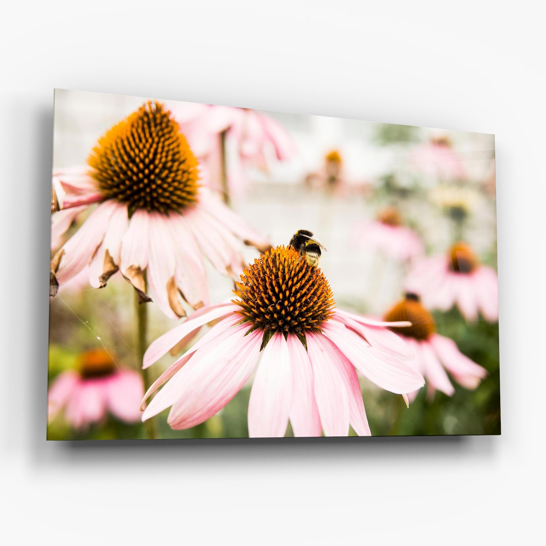 Üvegkép Daylight Flower mockup 6