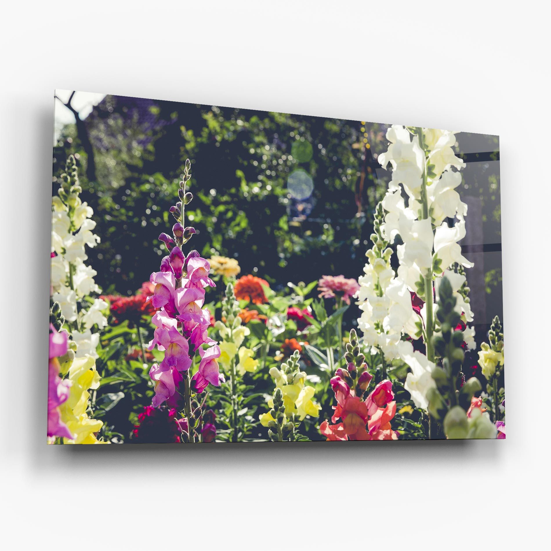 Garden Pretty Flowers mockup 6