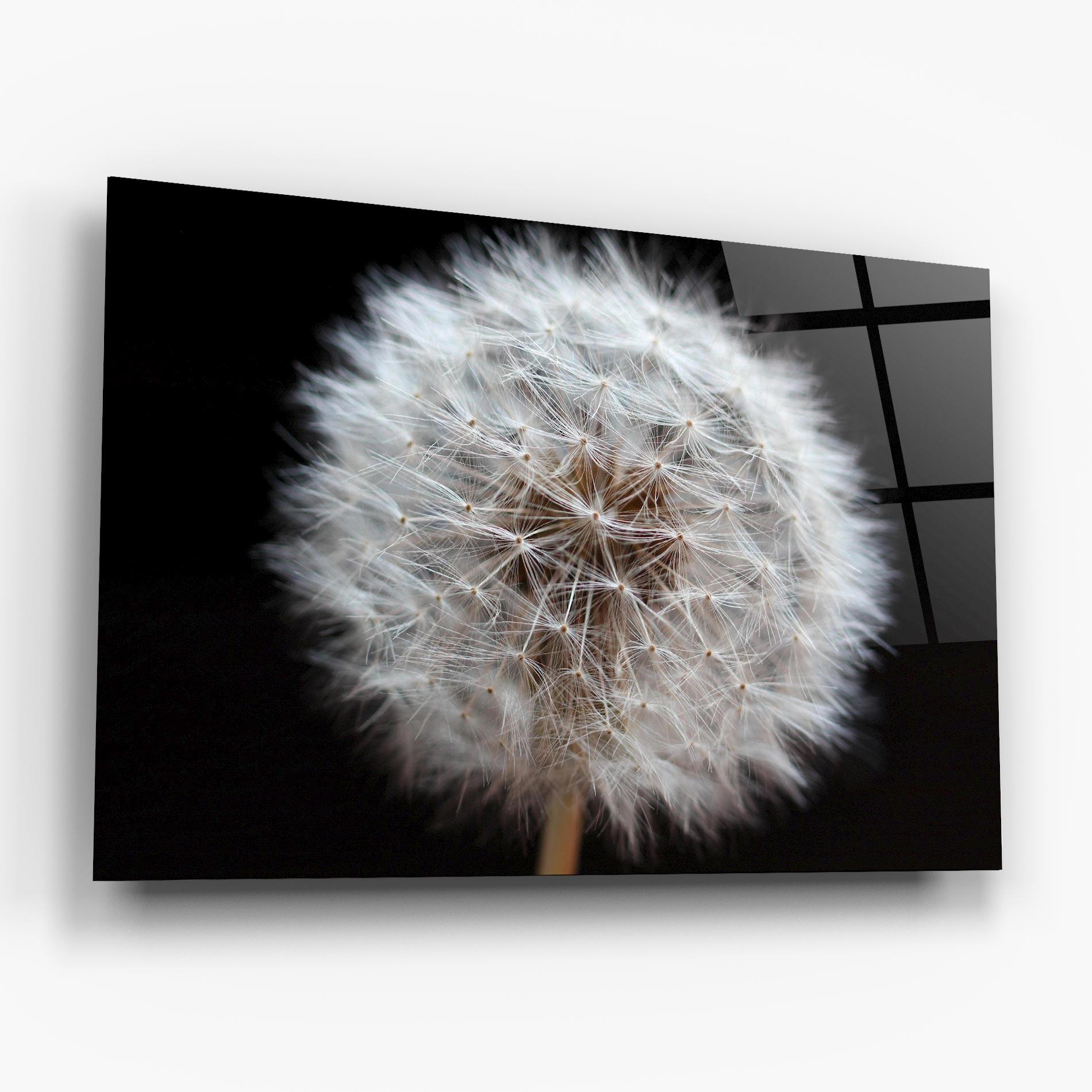 Üvegkép Wild Dandelion Closeup mockup 6