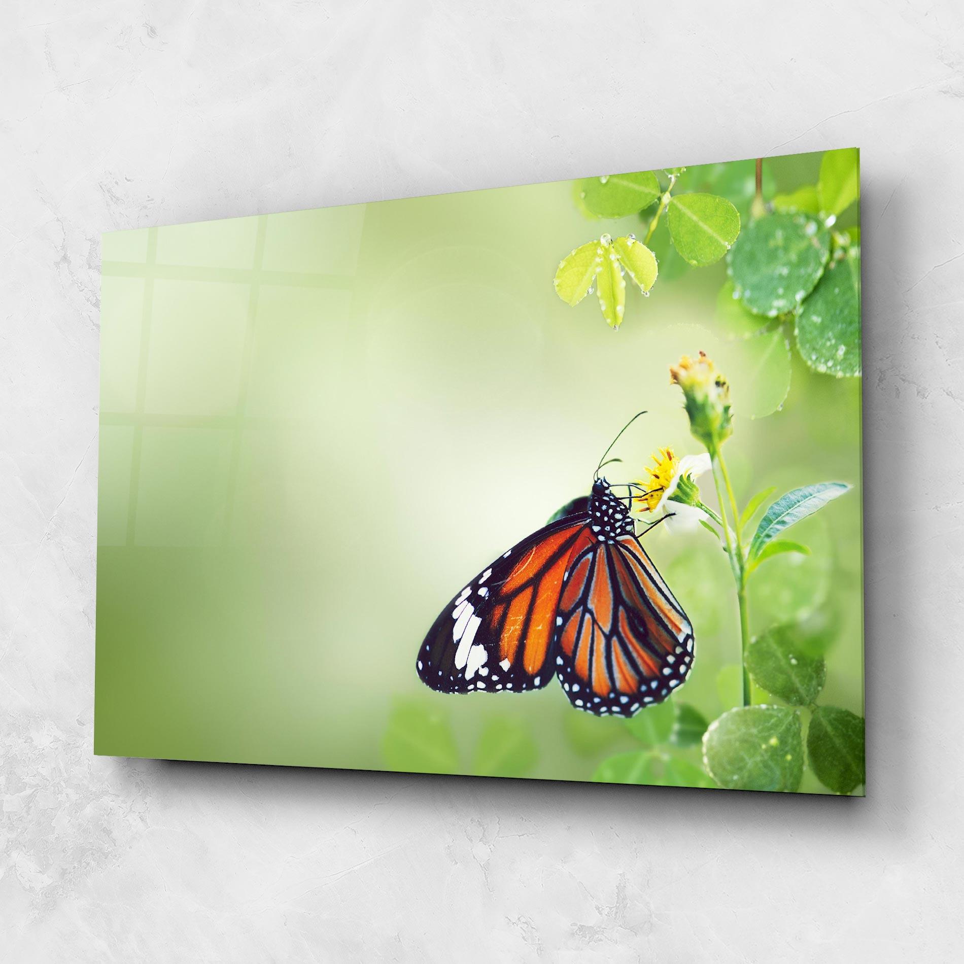 Üvegkép Butterfly Wild Plant mockup 1