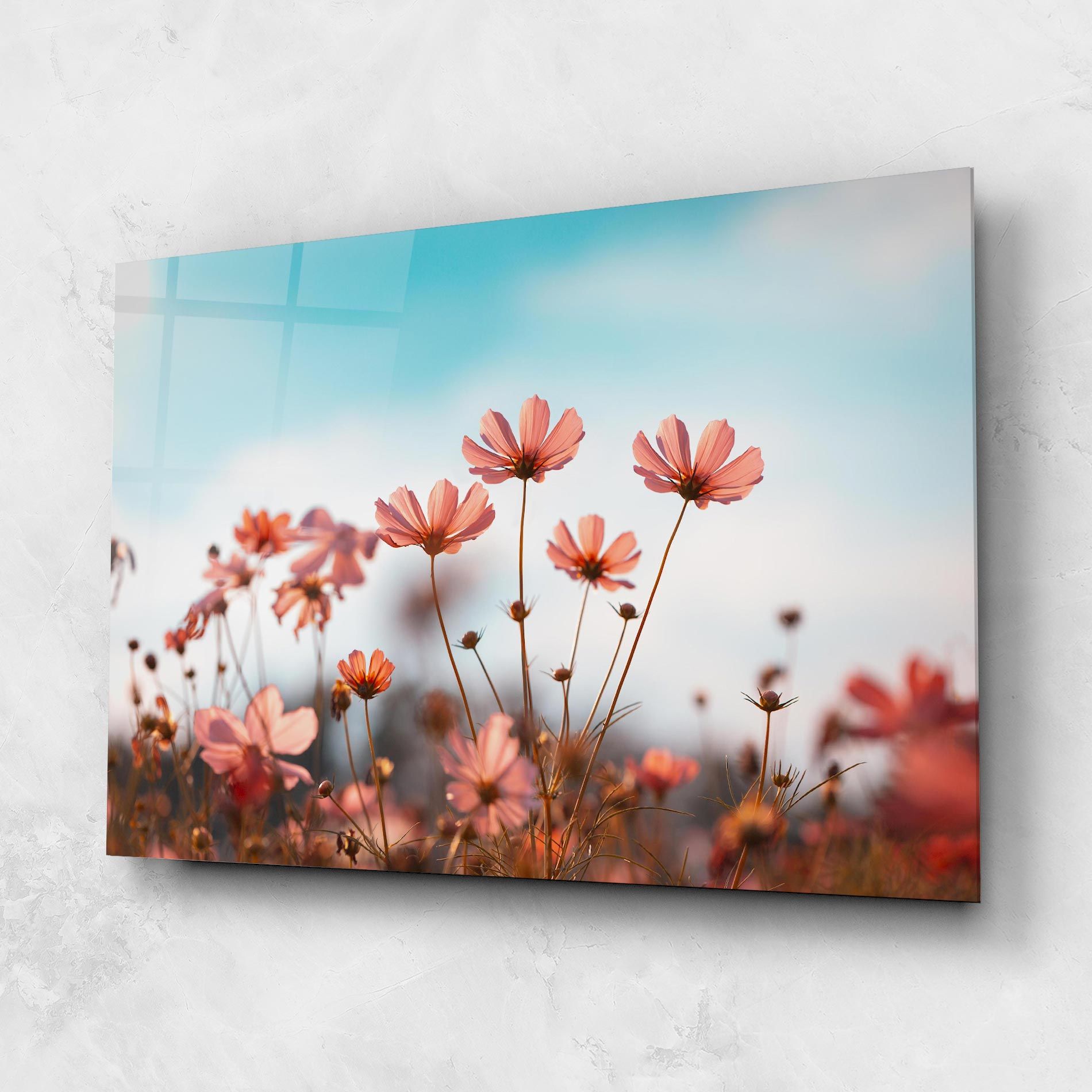 Cosmos Flowers Beautiful mockup 1