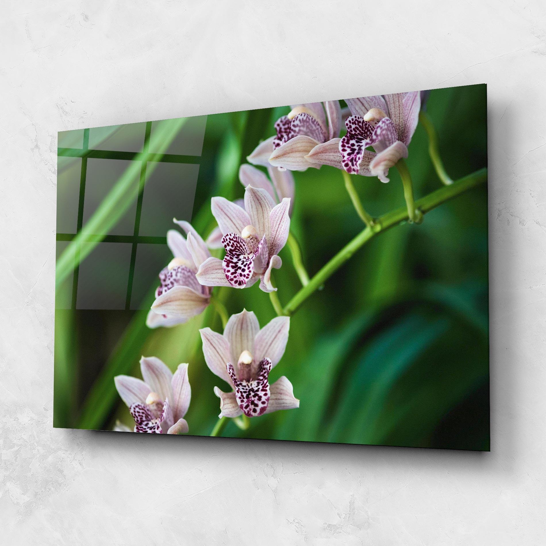 Üvegkép Cymbidium Orchid mockup 1
