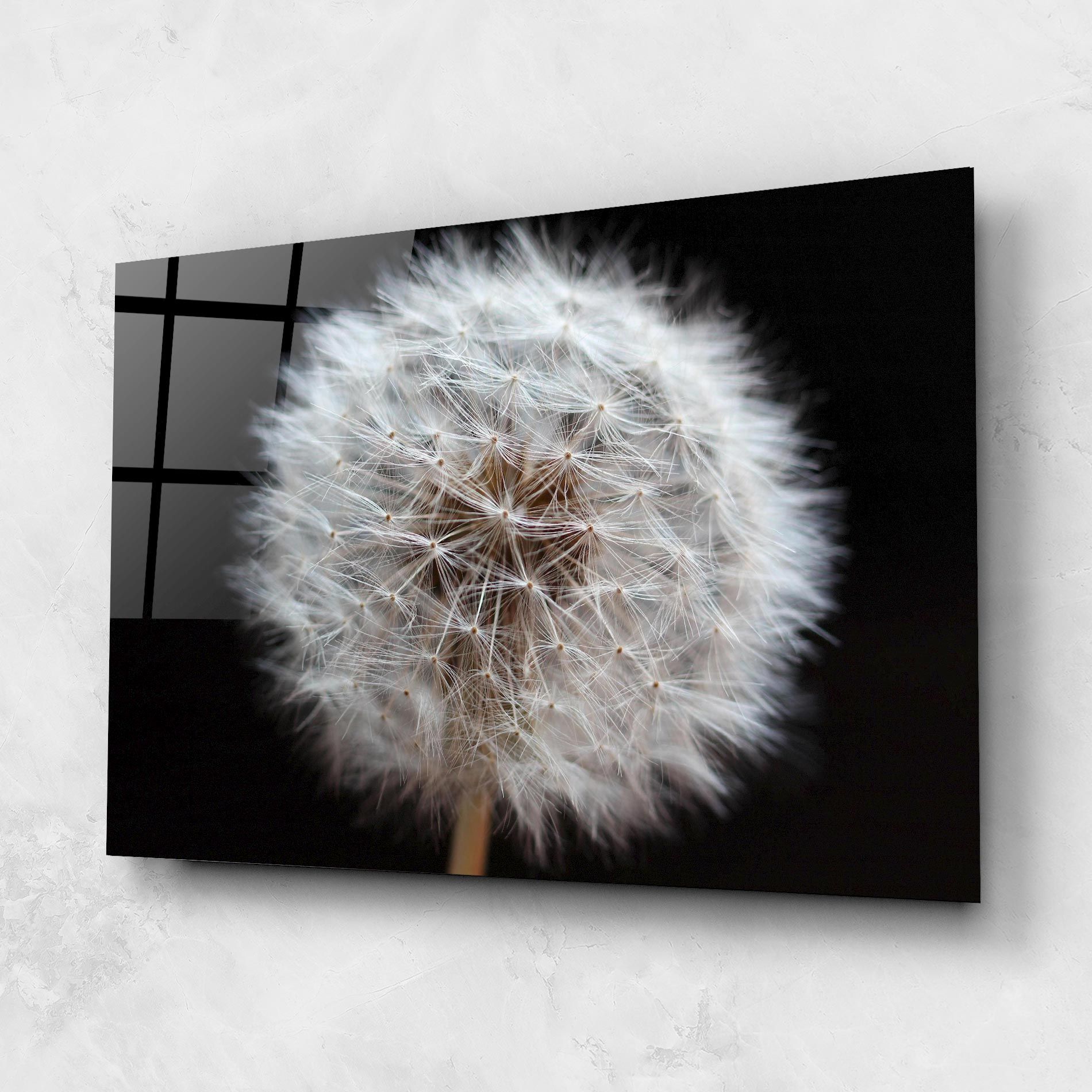 Wild Dandelion Closeup mockup 1