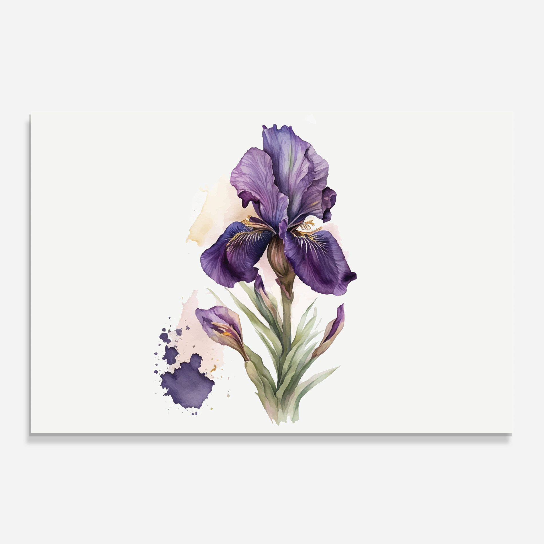 Beautiful Purple Iris mockup 0