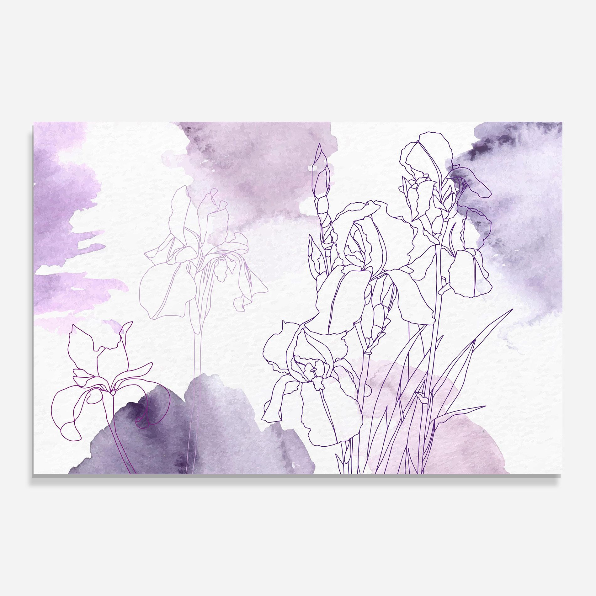 Iris Purple Watercolor mockup 0