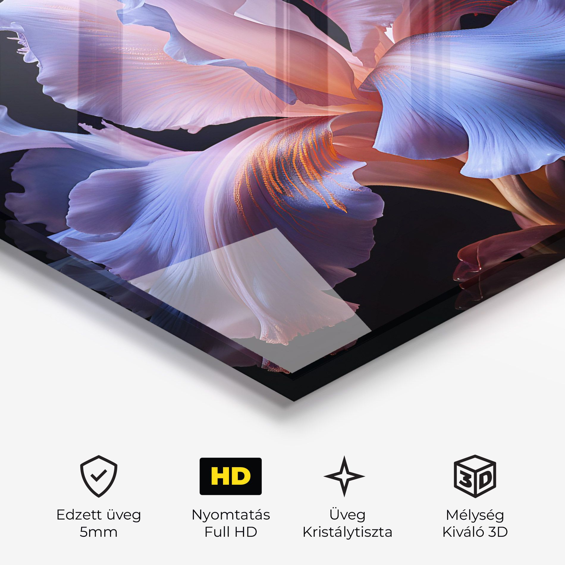 Elegant Iris On Black mockup 3