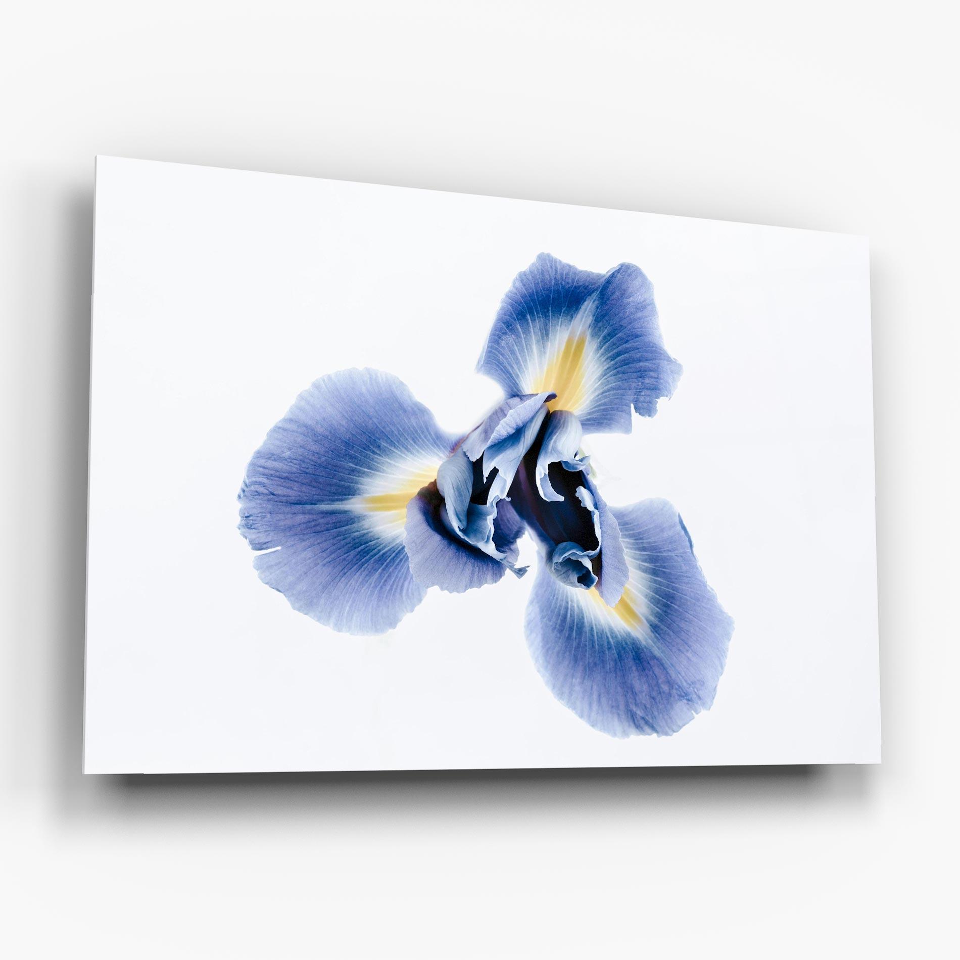 Üvegkép Iris Flower mockup 6