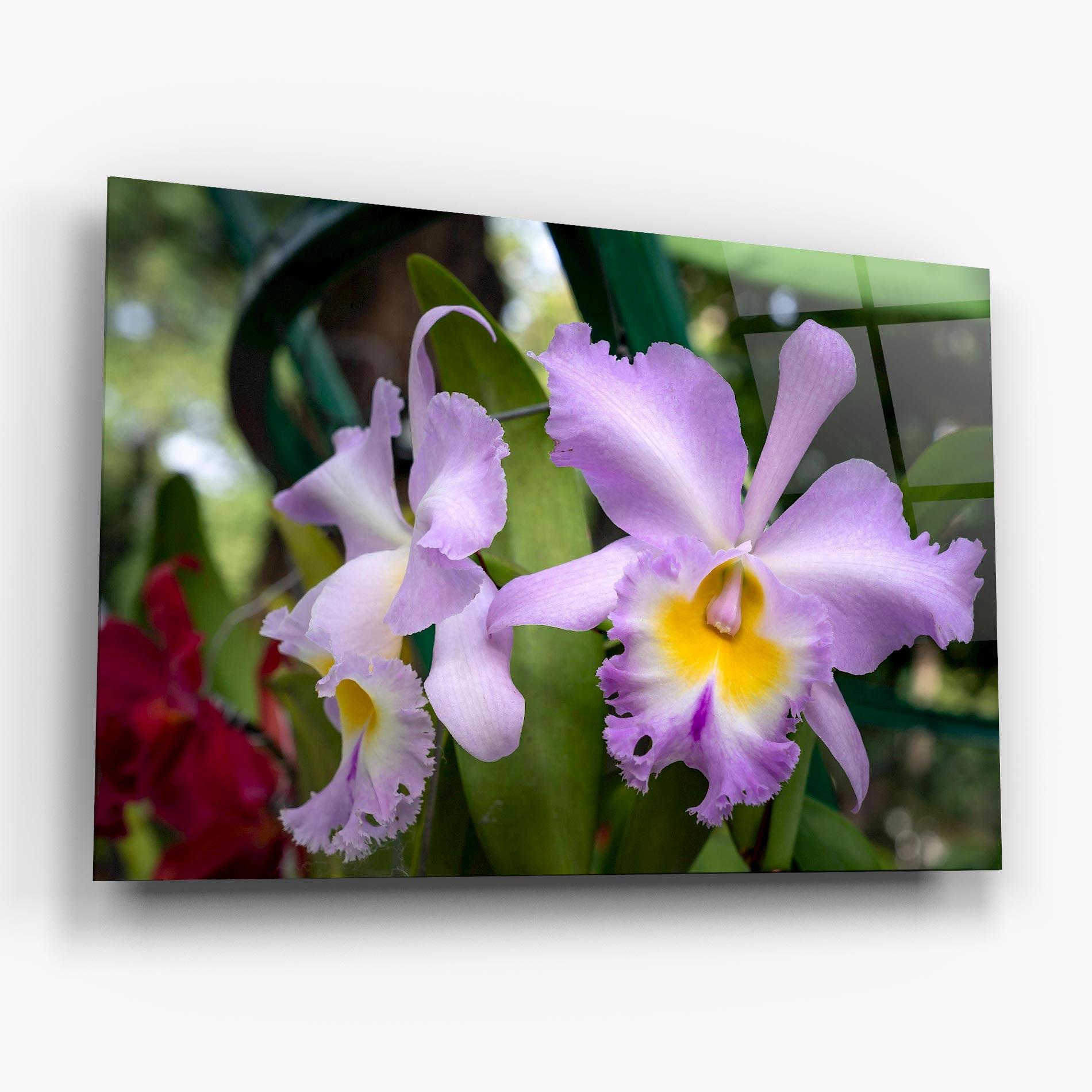 Üvegkép Light Purple Iris mockup 6
