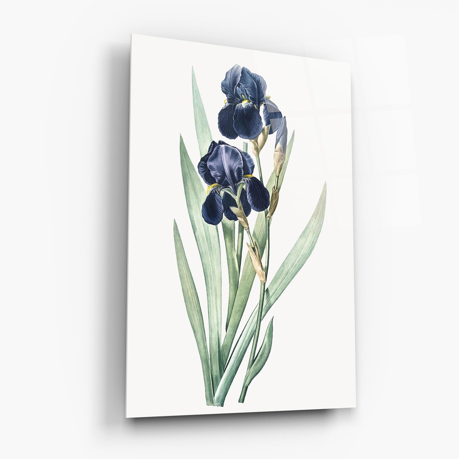 Üvegkép Dark Blue Iris mockup 6