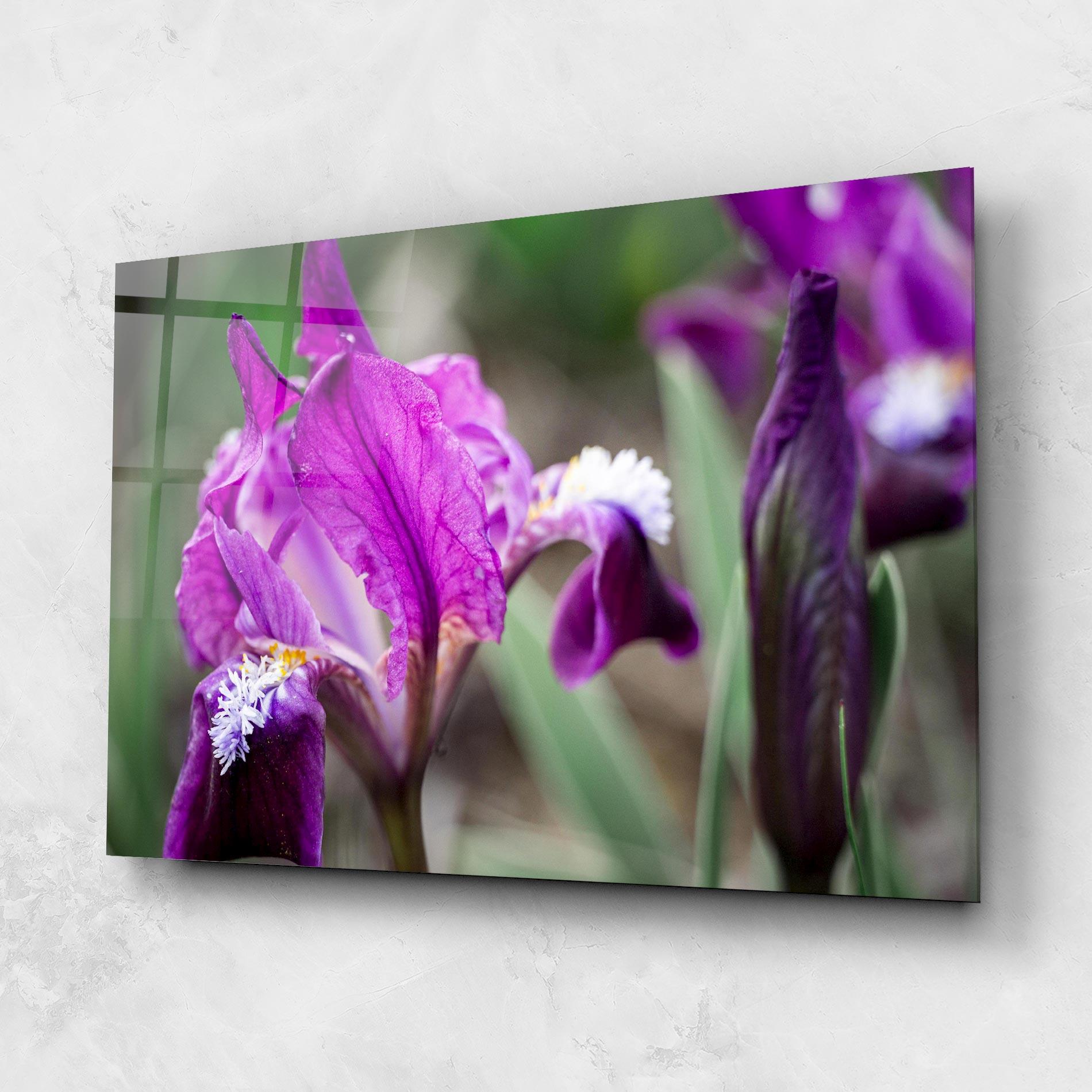 Üvegkép Dark Pink Iris mockup 1