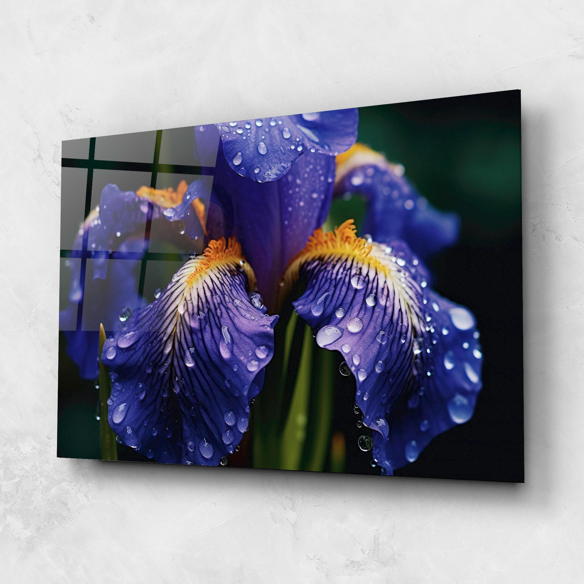 Iris After Rain mockup 1