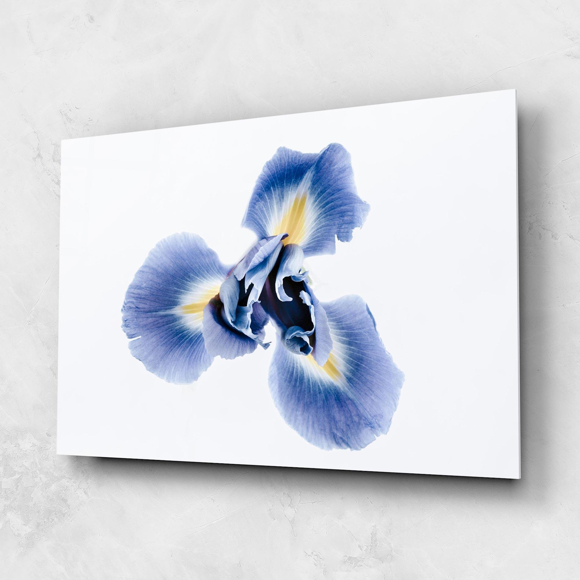 Üvegkép Iris Flower mockup 1