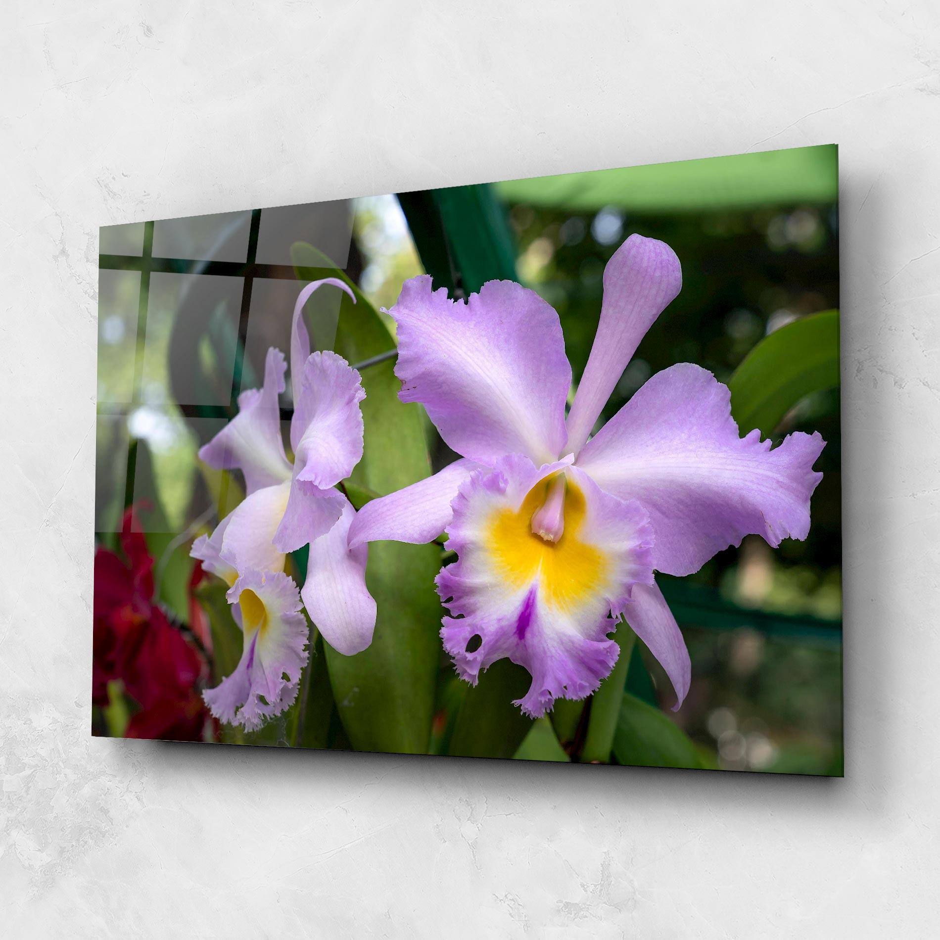Üvegkép Light Purple Iris mockup 1