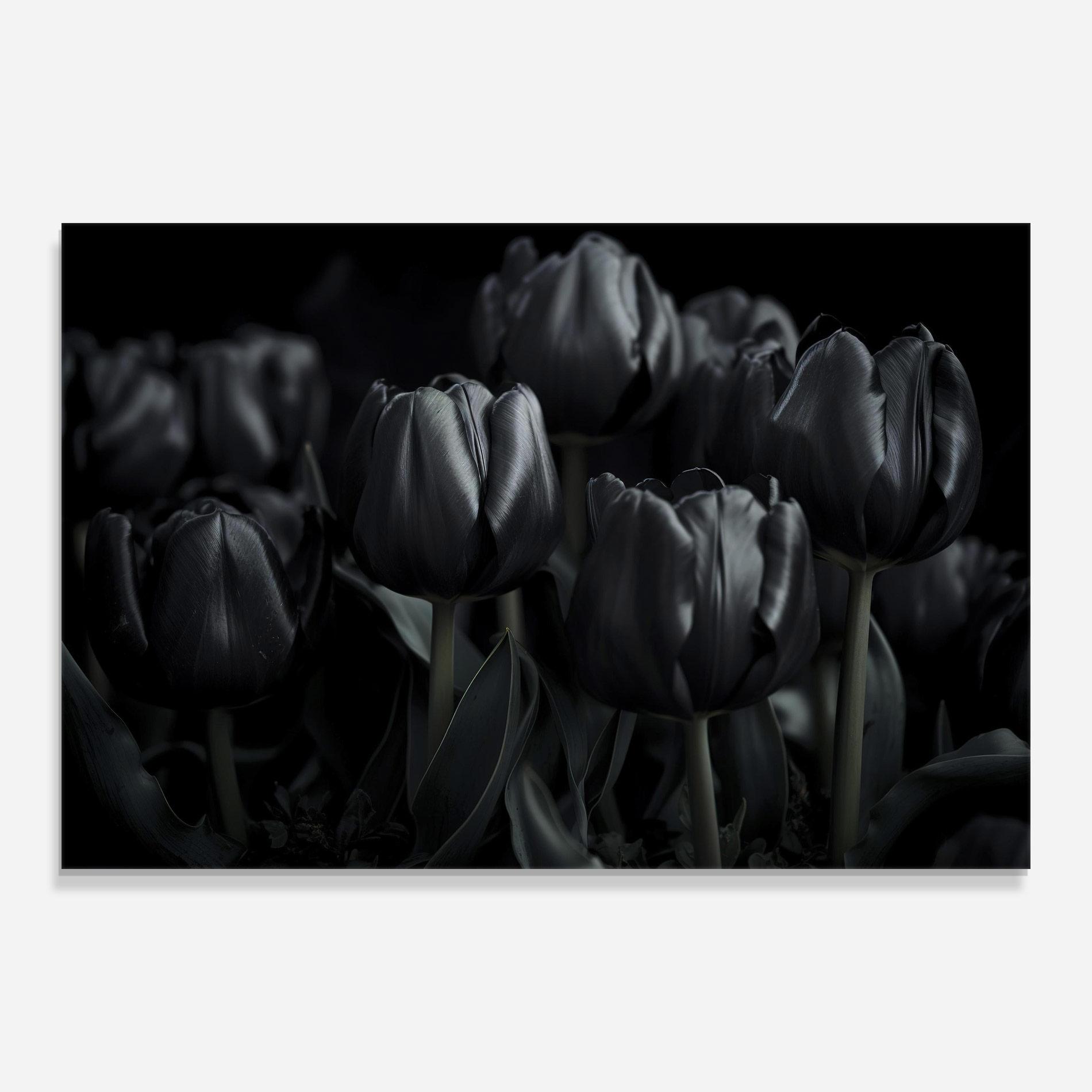 Üvegkép Black Tulips mockup 0