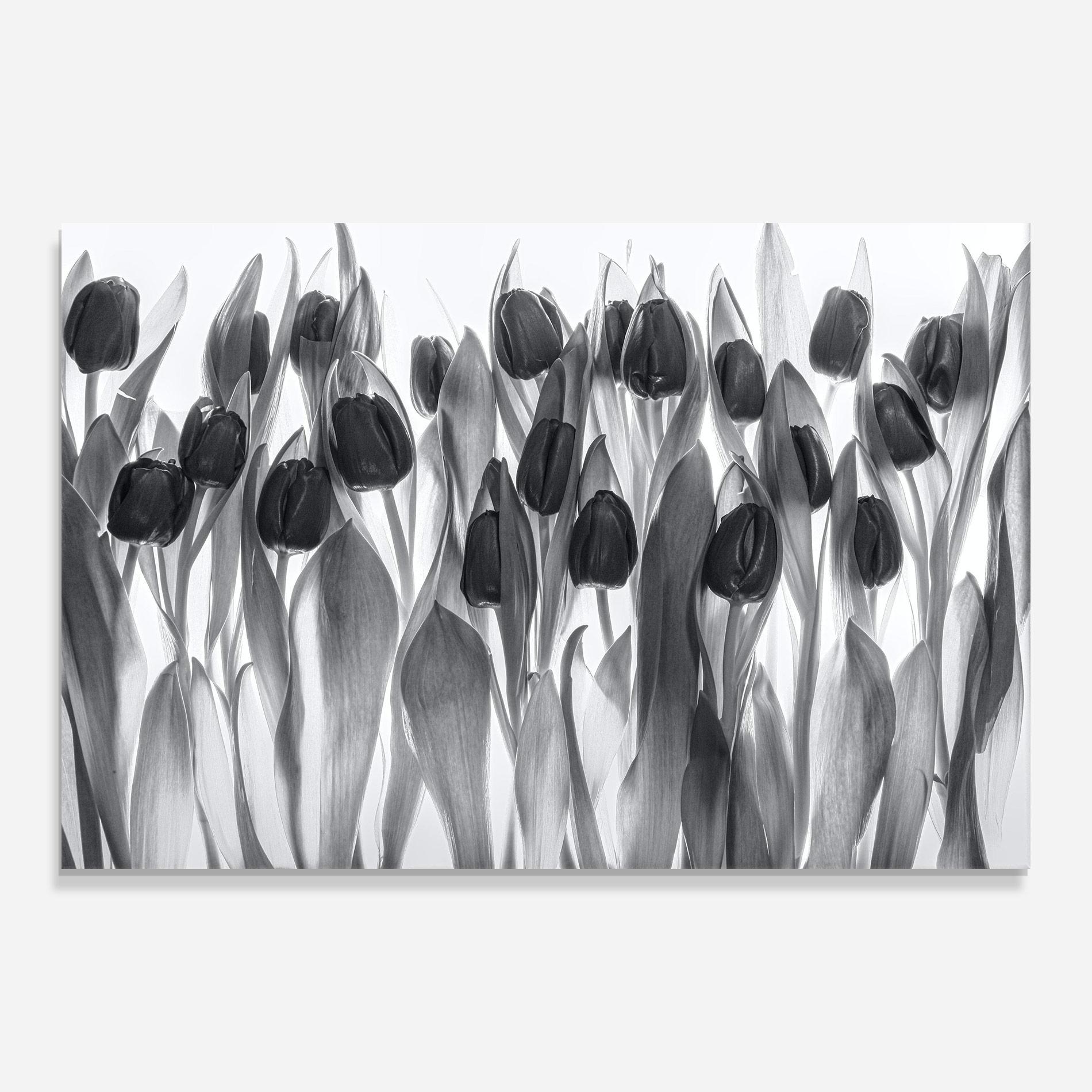 Üvegkép Grey Tulips mockup 0