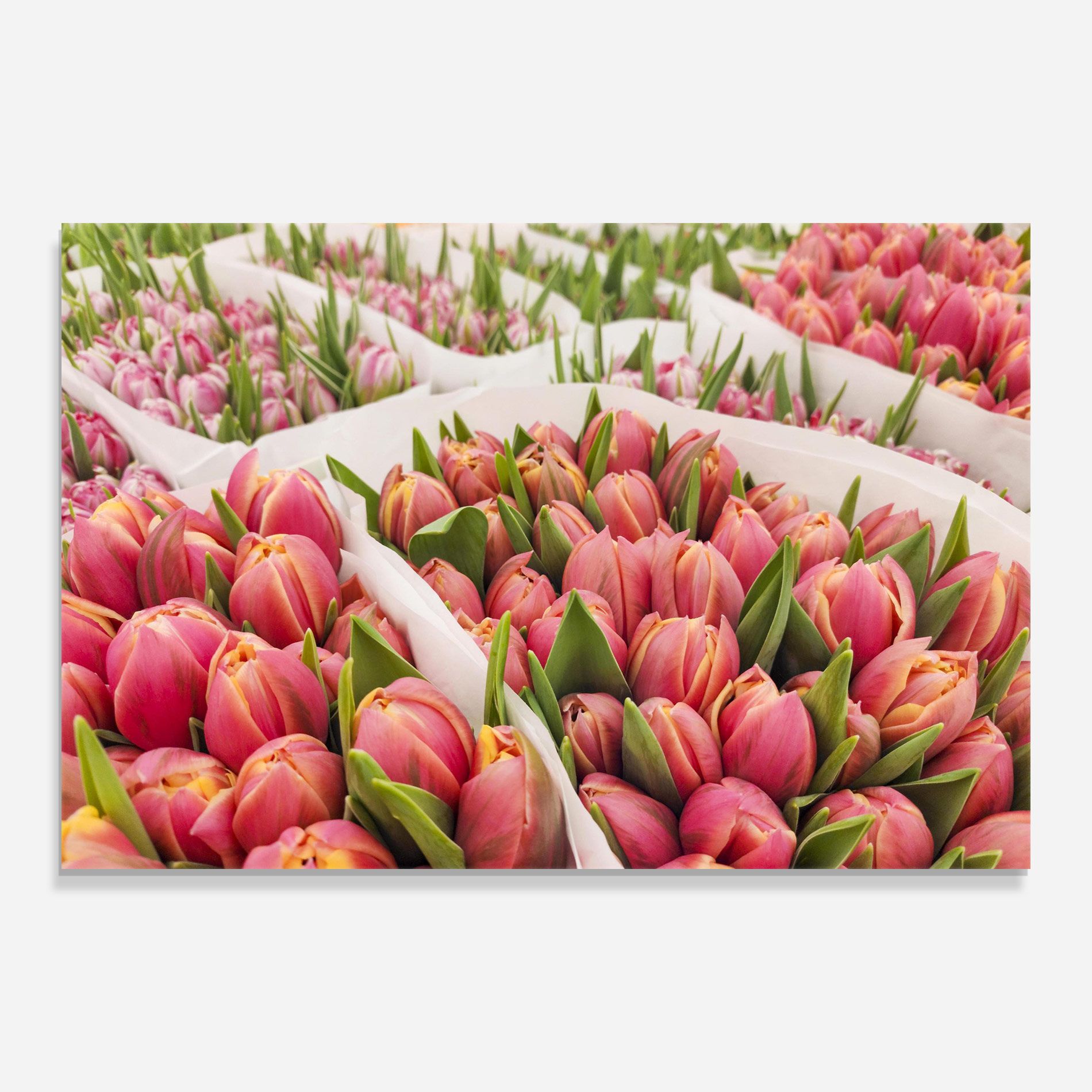 Pretty Pink Tulips Bouquet mockup 0