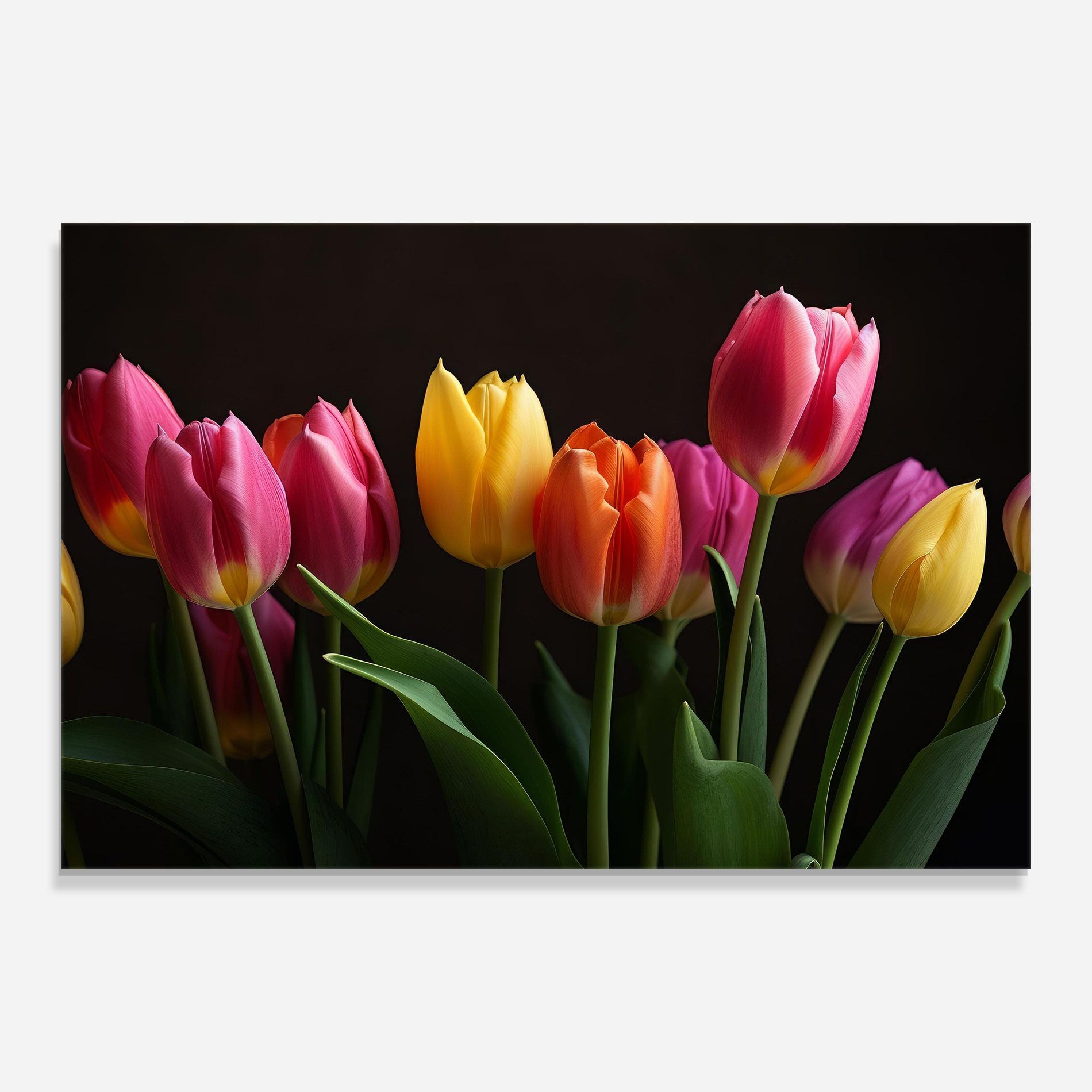 Purple Yellow Tulips mockup 0
