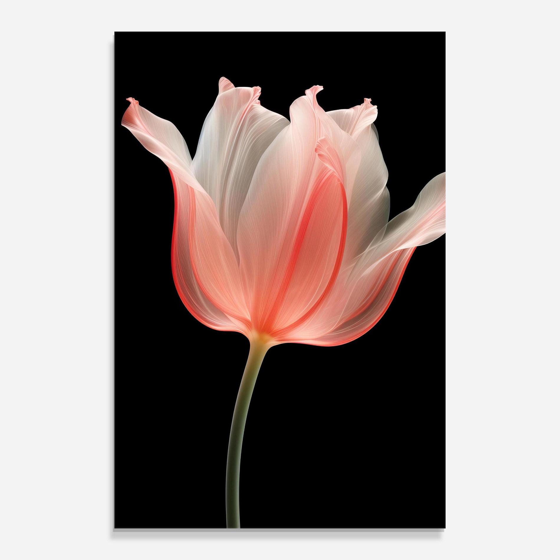 Üvegkép Pastel Pink Tulip mockup 0