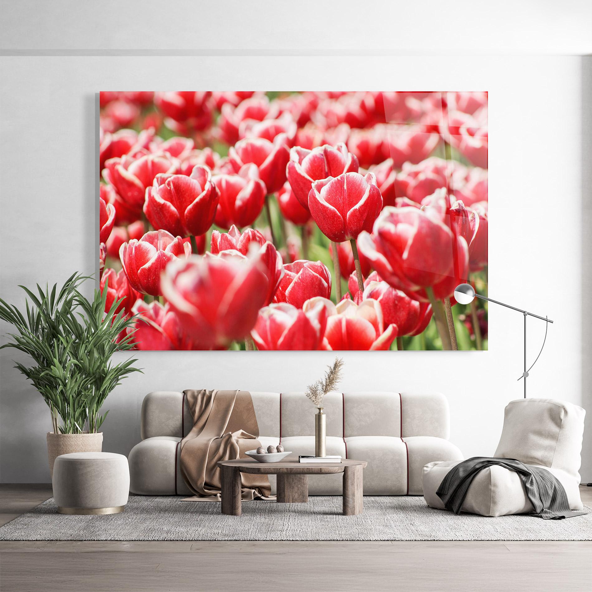 Üvegkép Red White Tulips mockup 9