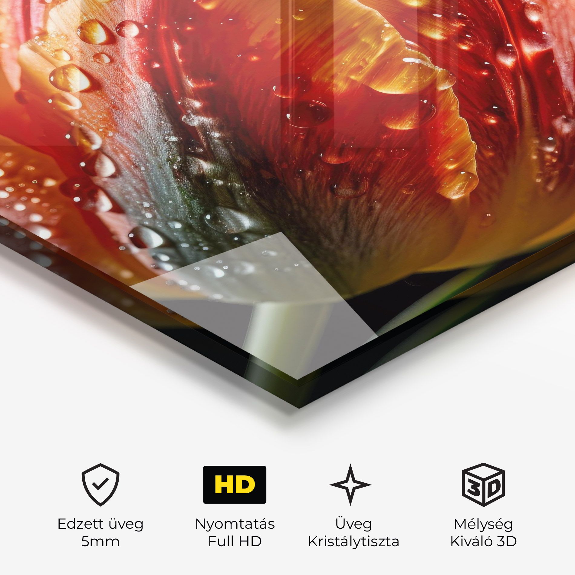 Big Wet Orange Tulip mockup 3