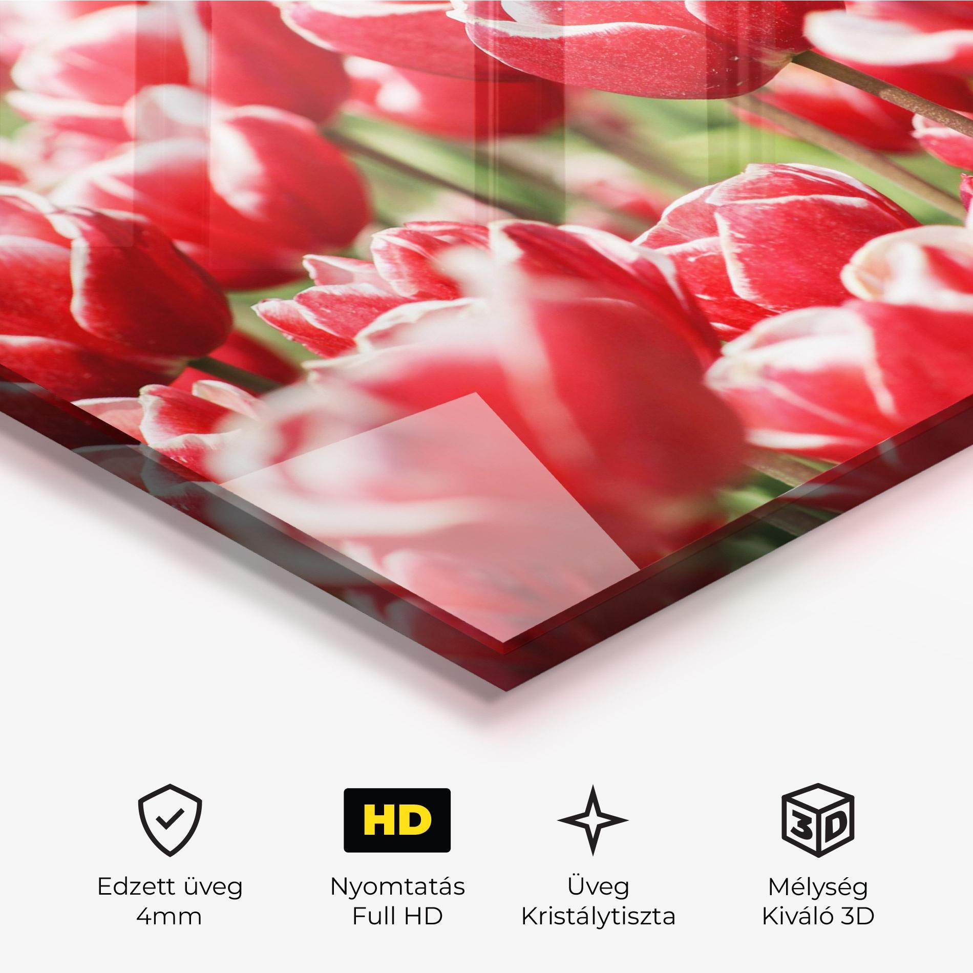 Üvegkép Red White Tulips mockup 3
