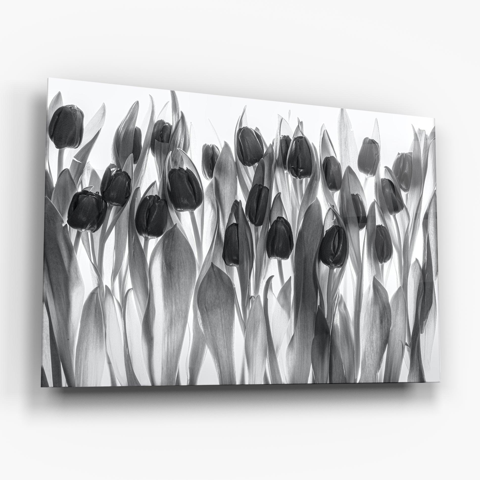 Üvegkép Grey Tulips mockup 6