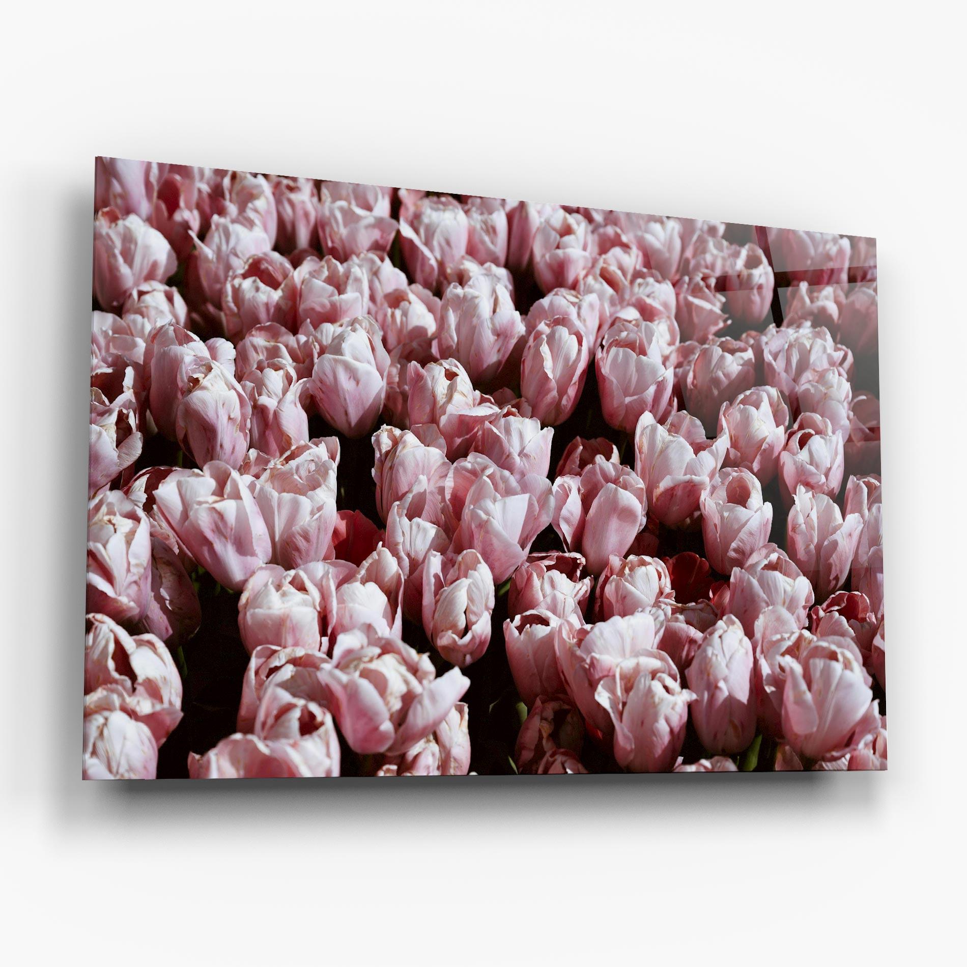 Üvegkép Pastel Pink Tulips Wall mockup 6