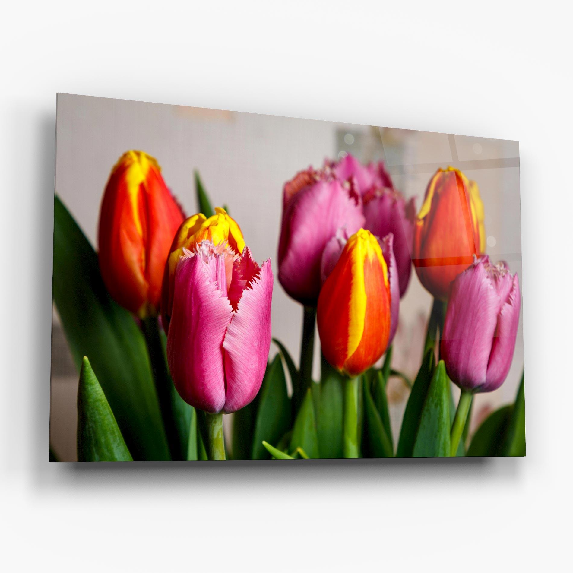 Üvegkép Pink Orange Tulips mockup 6