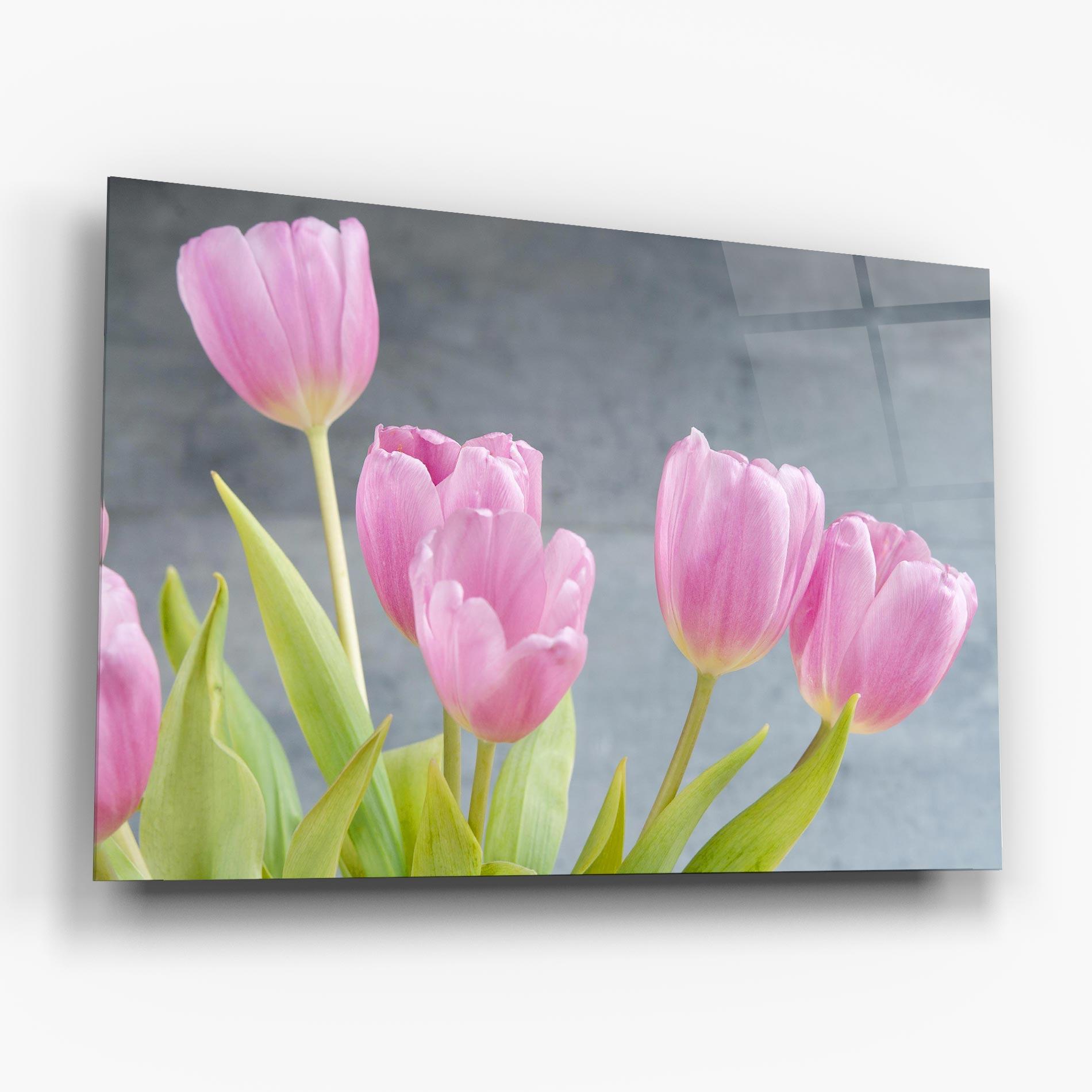 Üvegkép Pink Pastel Tulip On Grey mockup 6