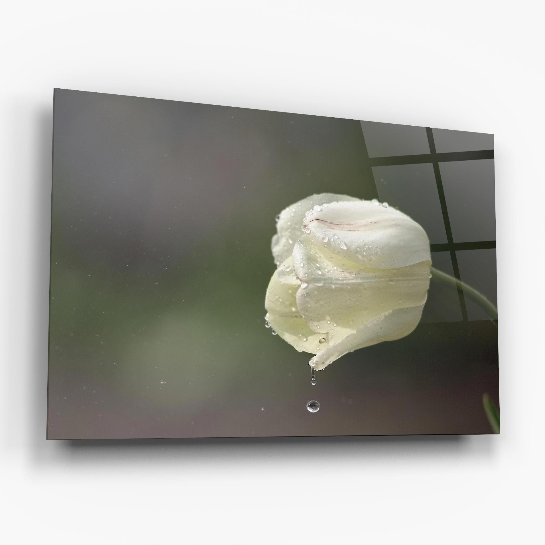 White Single Tulip mockup 6