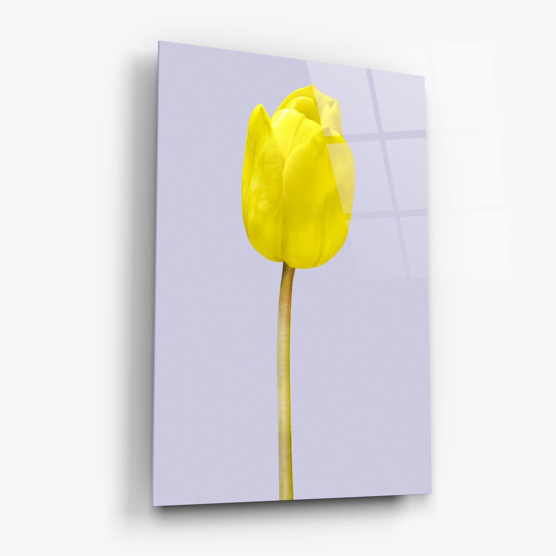 Üvegkép One Yellow Tulip mockup 6