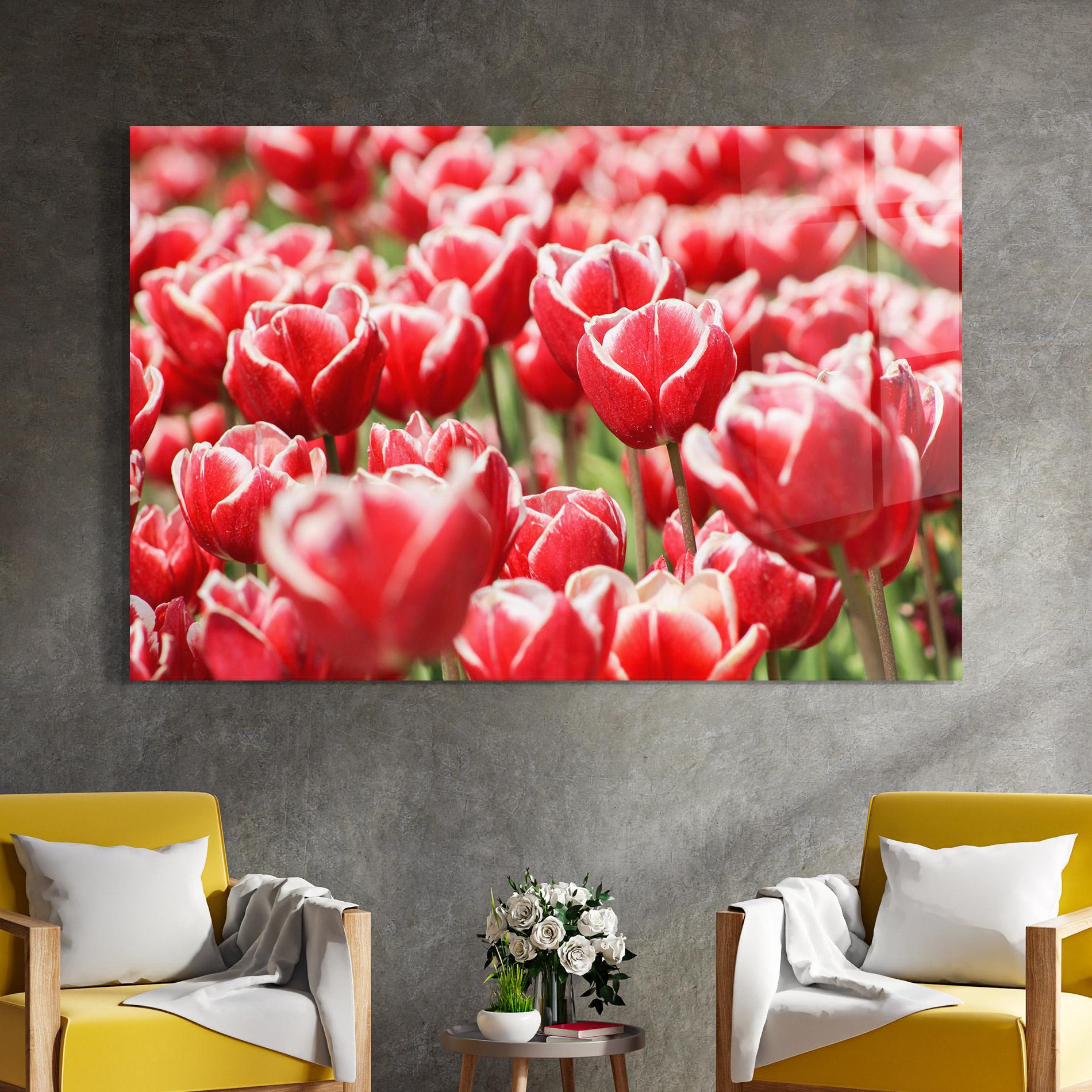 Üvegkép Red White Tulips mockup 4