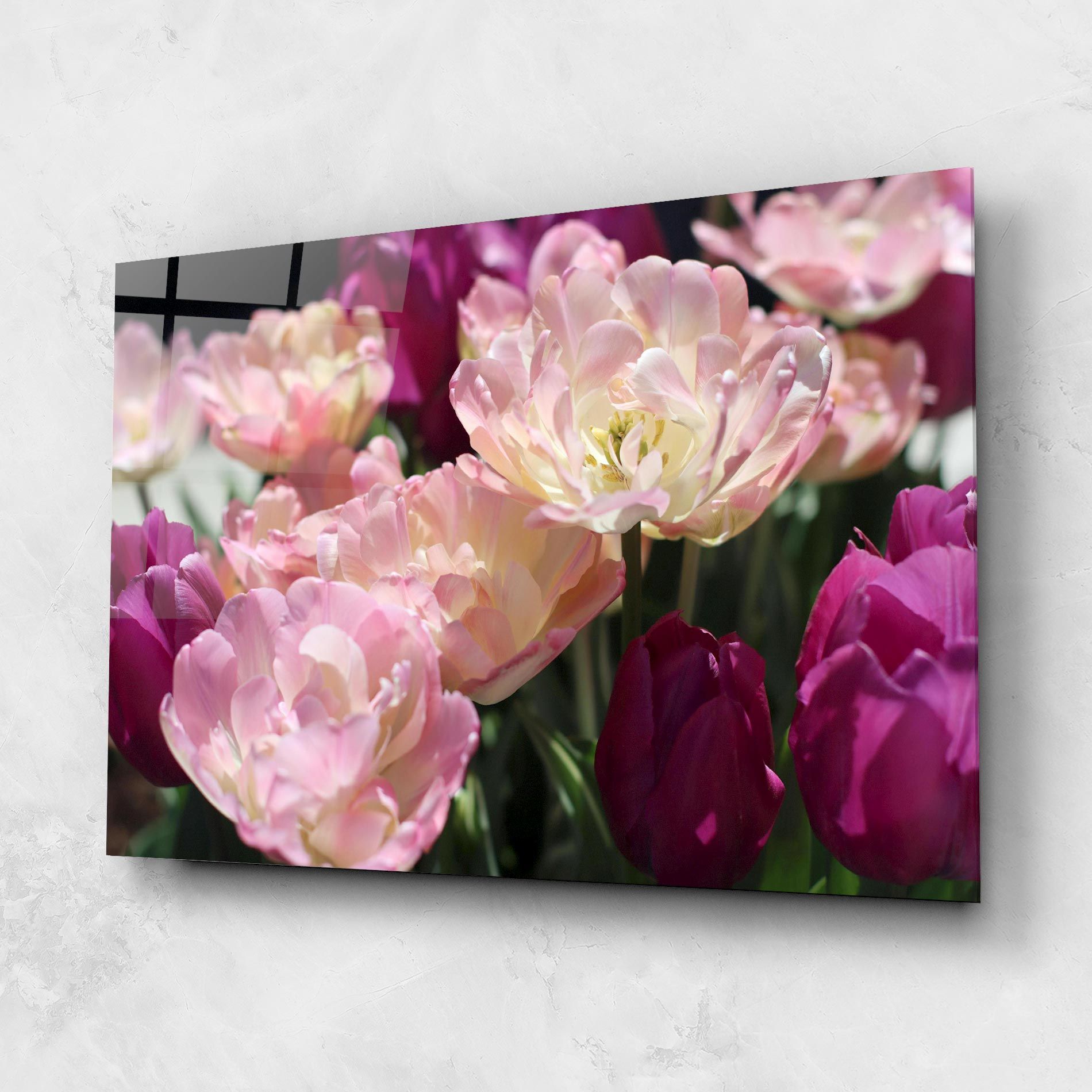 Opened Tulips mockup 1