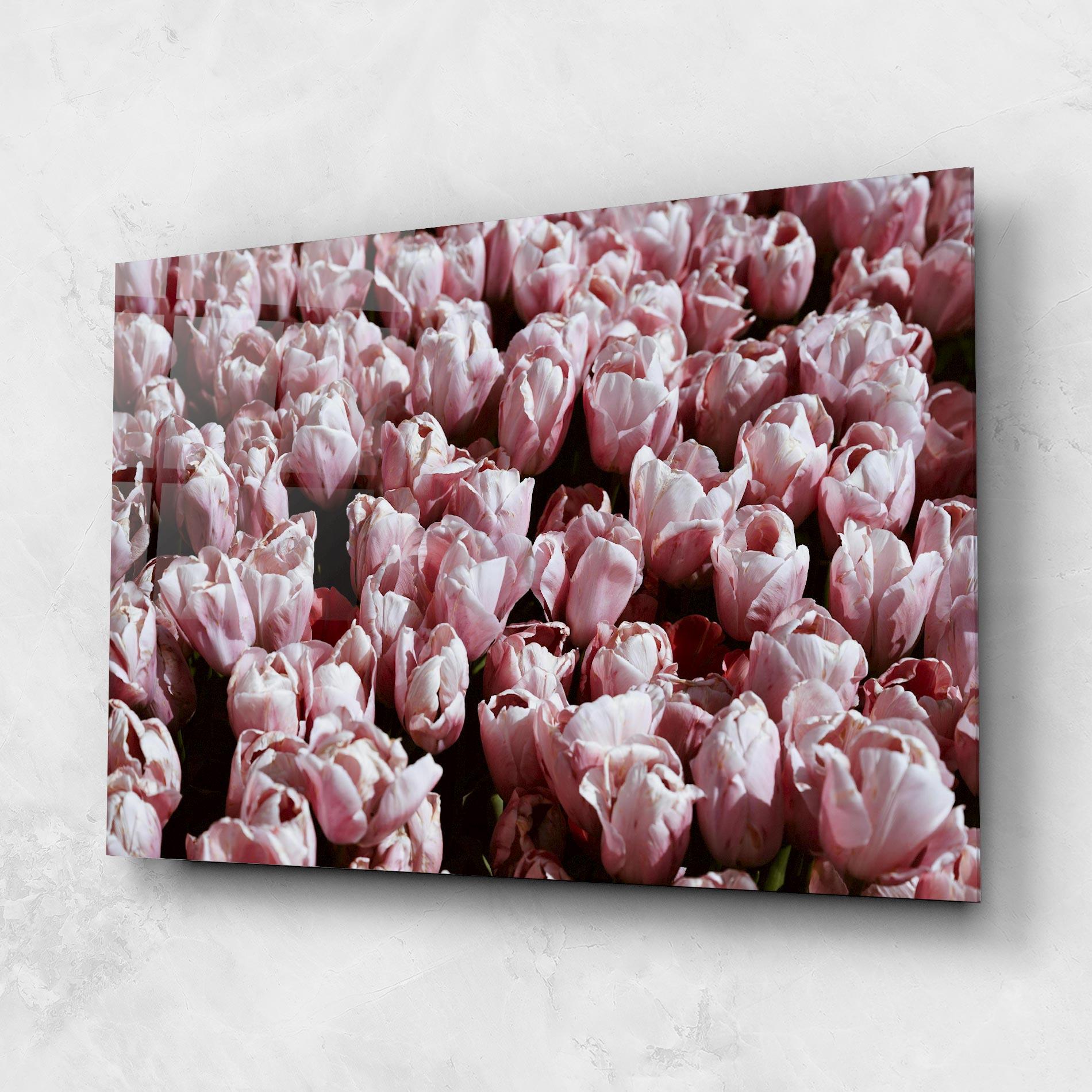 Üvegkép Pastel Pink Tulips Wall mockup 1