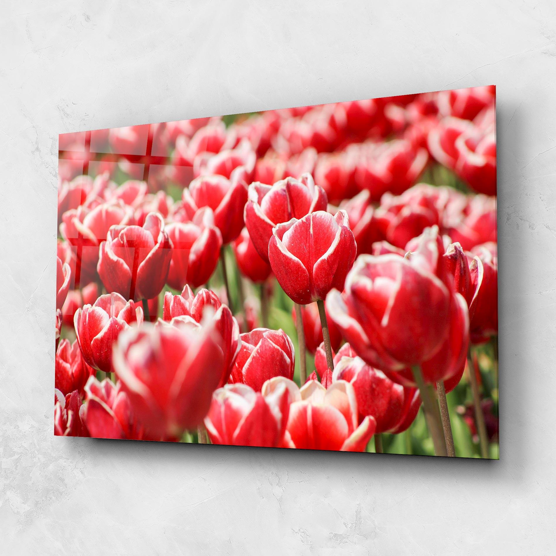 Üvegkép Red White Tulips mockup 1