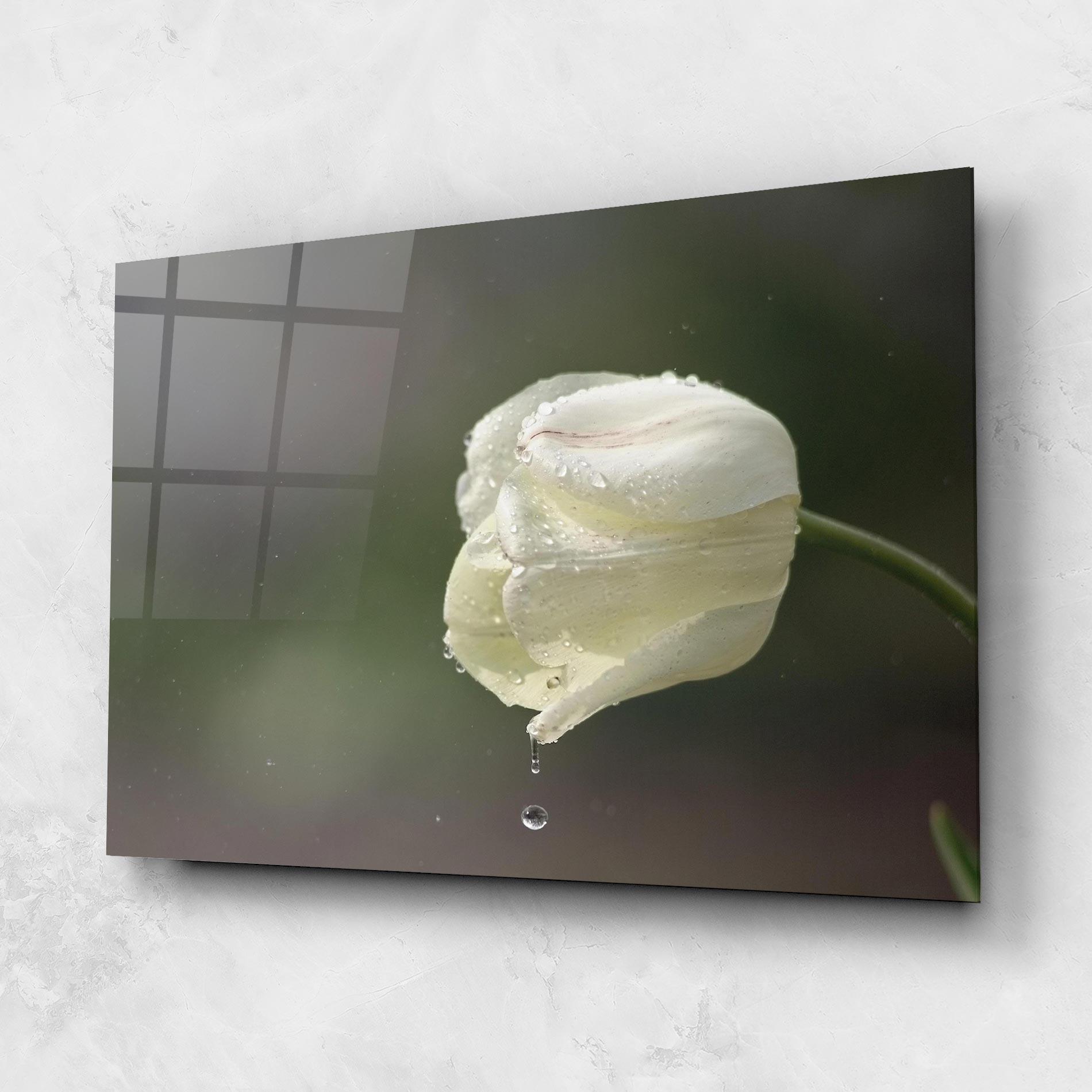 Üvegkép White Single Tulip mockup 1