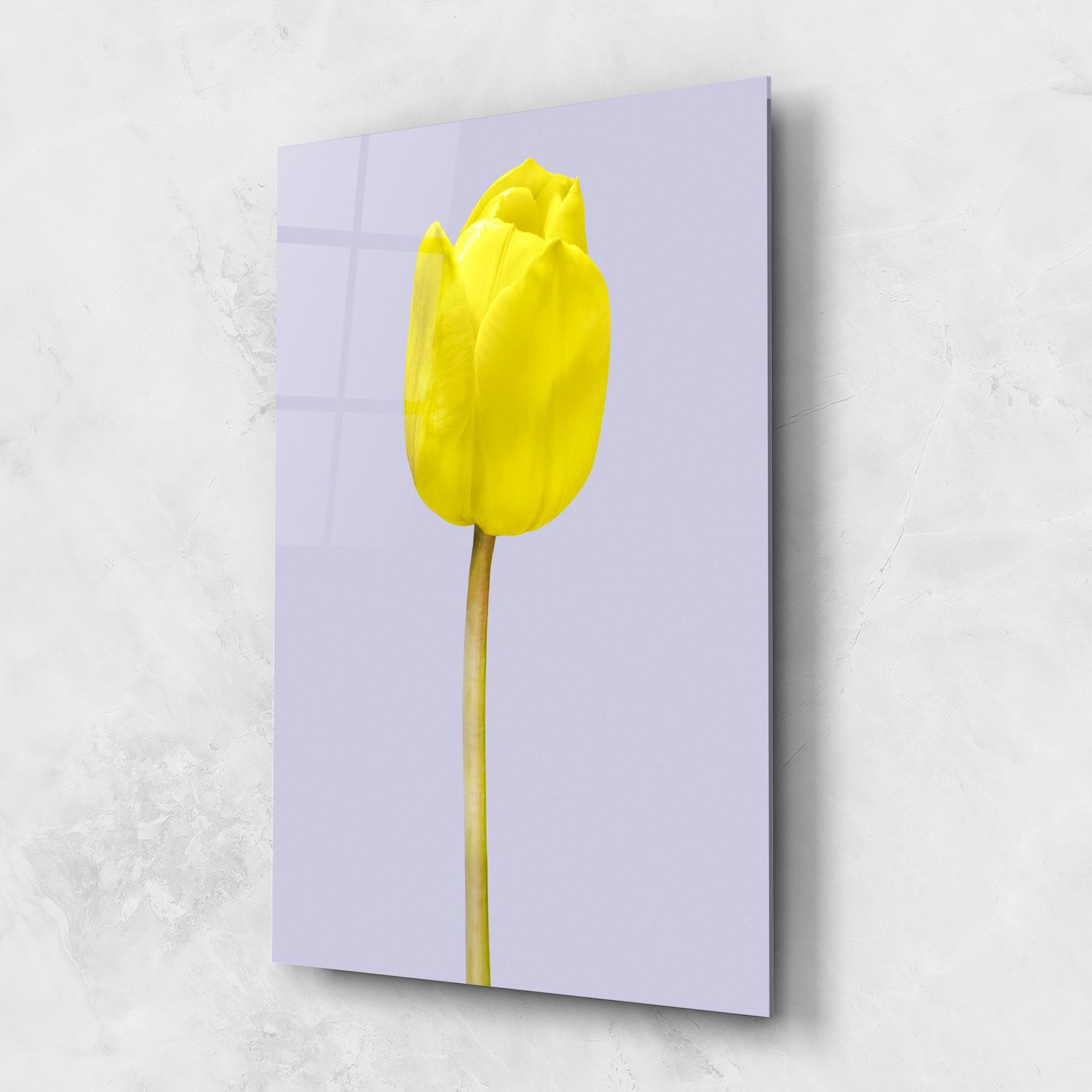 Üvegkép One Yellow Tulip mockup 1