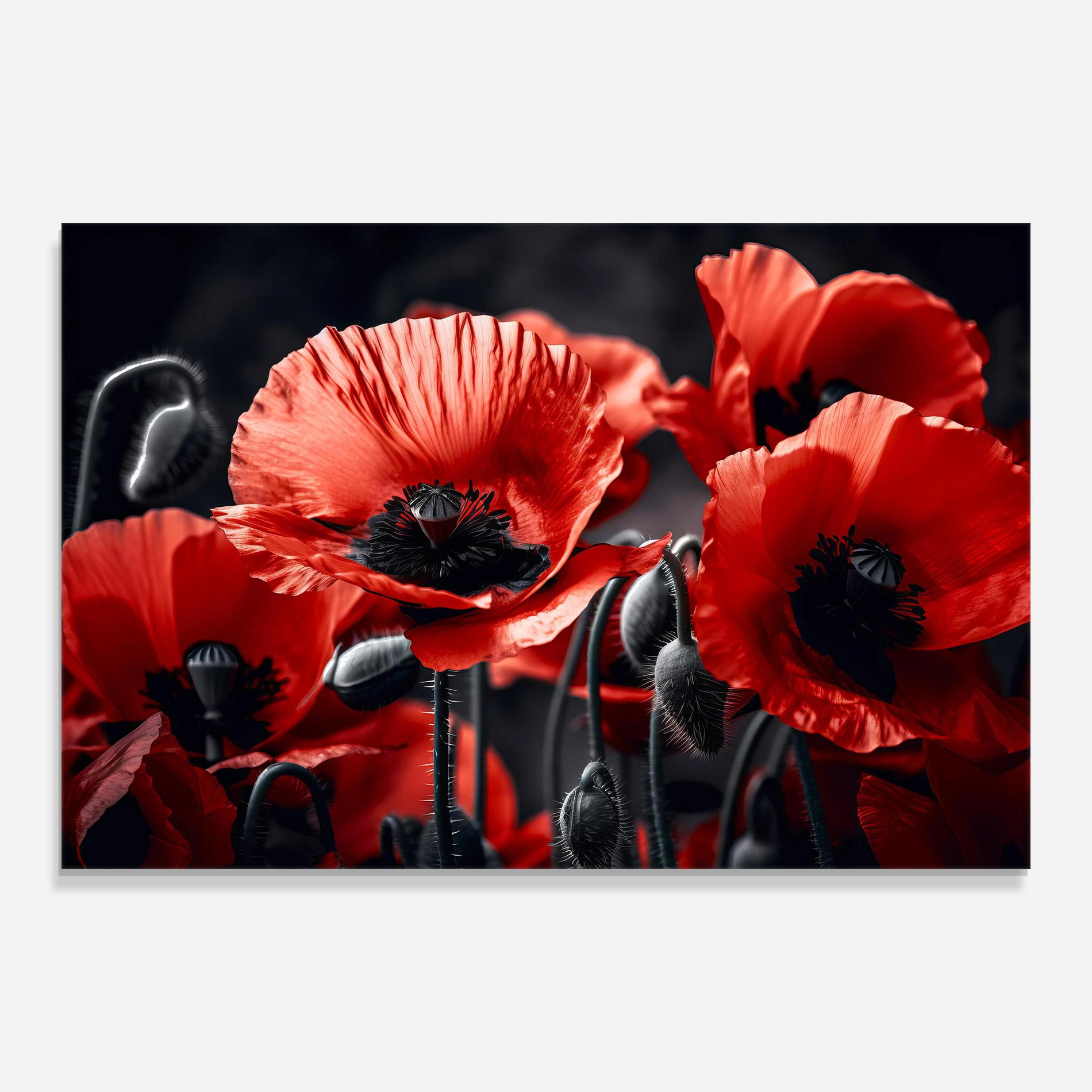 Üvegkép Black Red Poppy View mockup 0