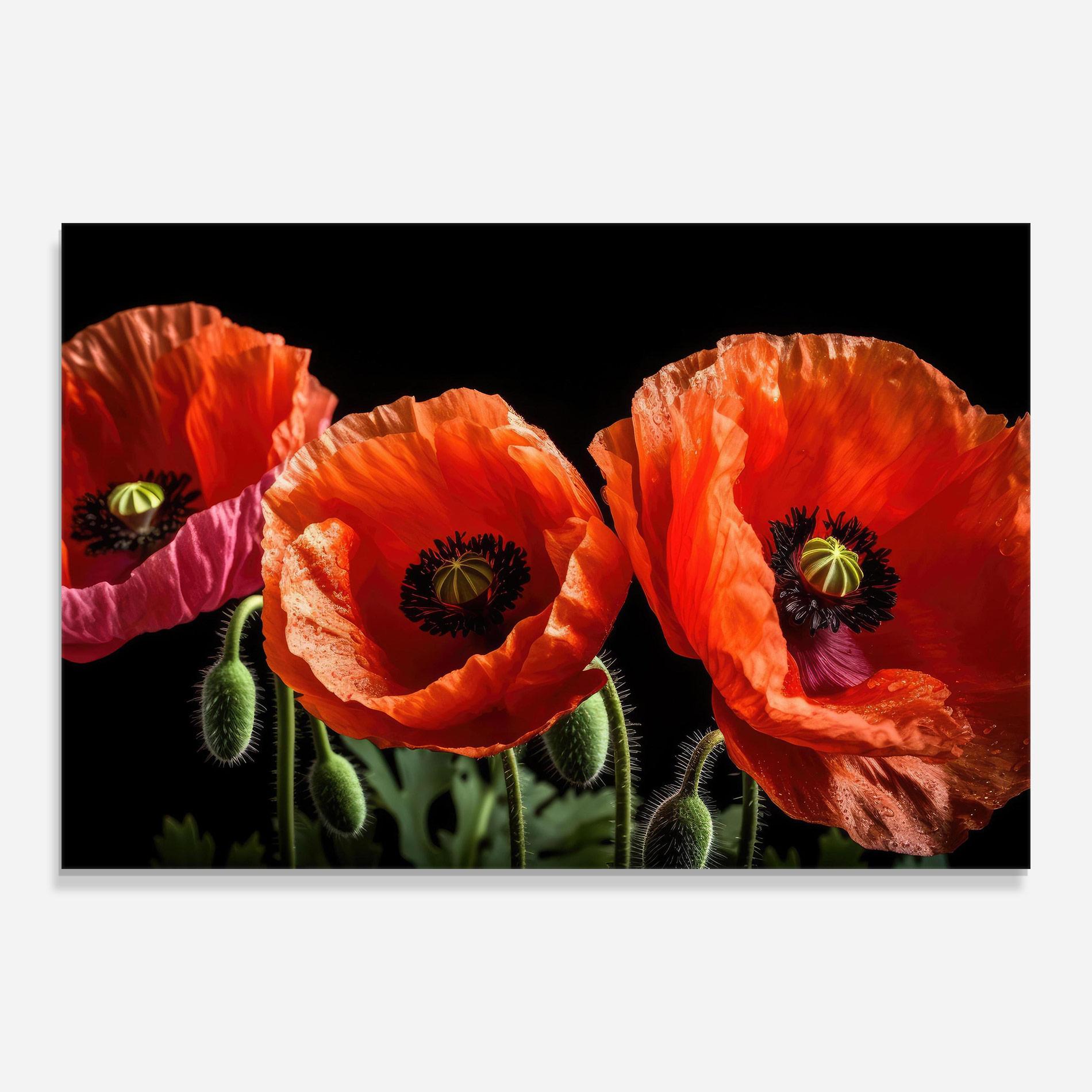 Üvegkép Dark Orange Poppies mockup 0