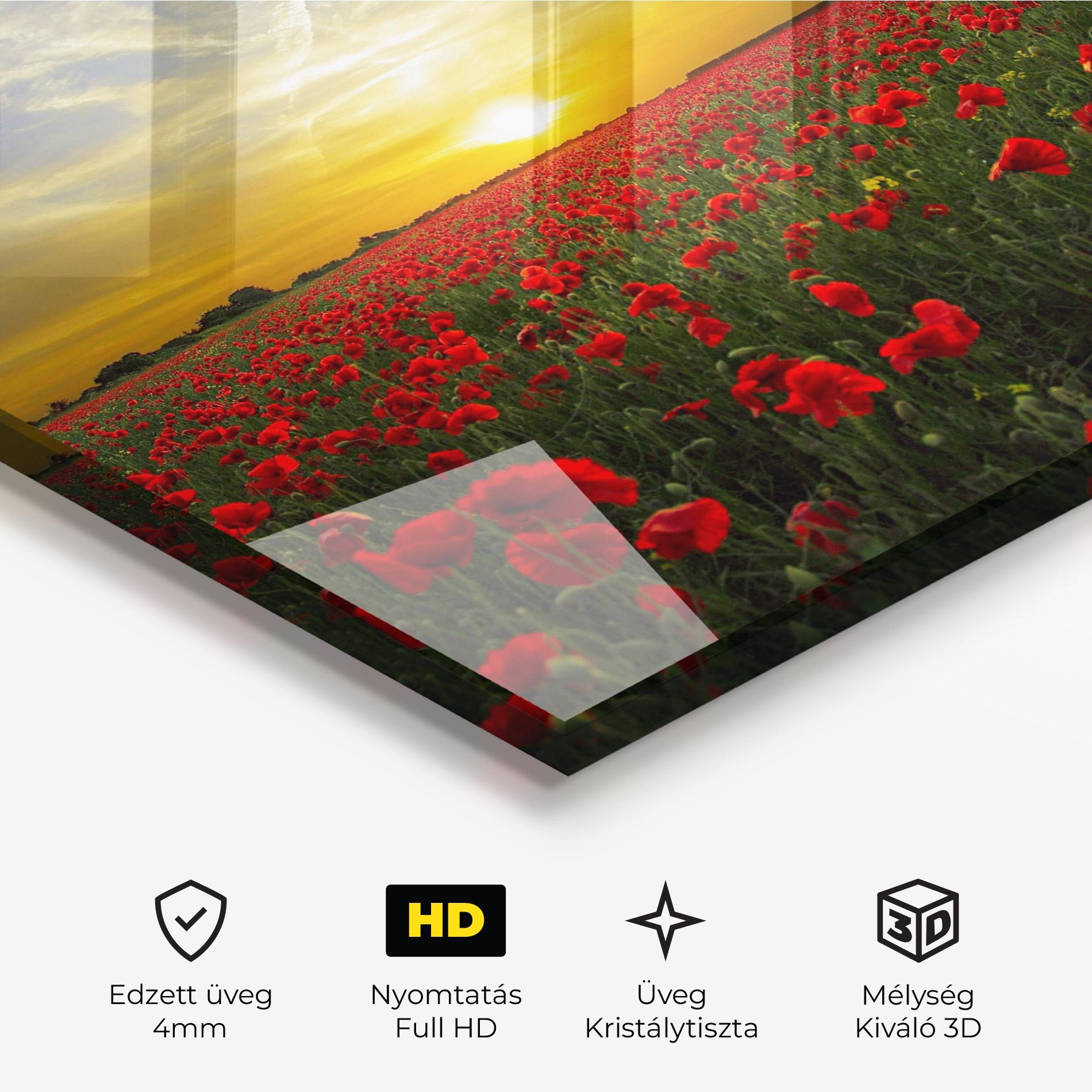Üvegkép Poppies Sunset mockup 3
