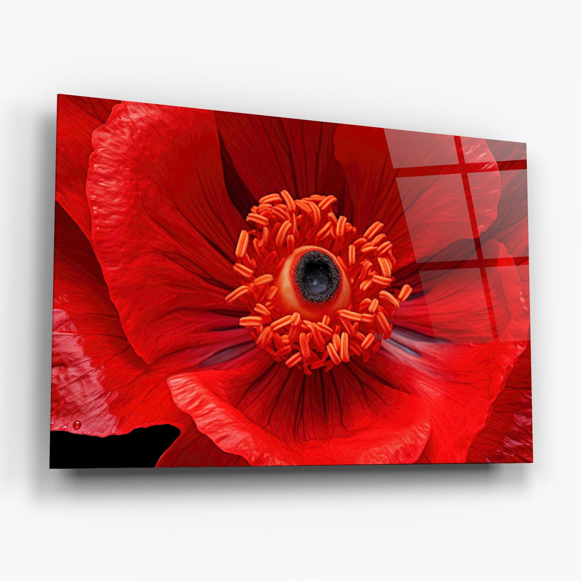 Üvegkép Big Poppy Close Up mockup 6
