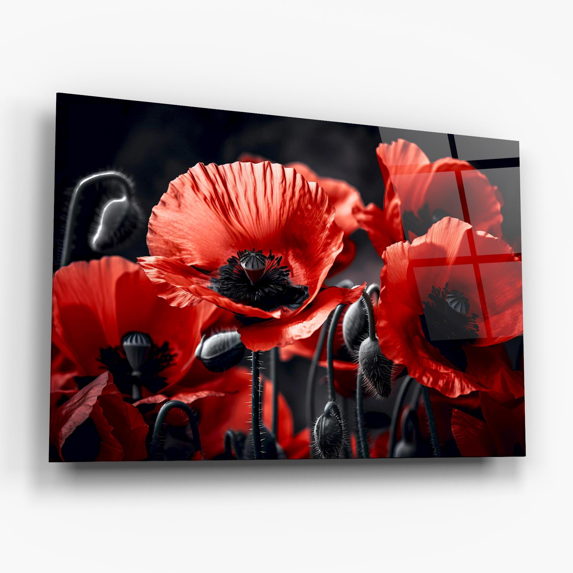 Üvegkép Black Red Poppy View mockup 6