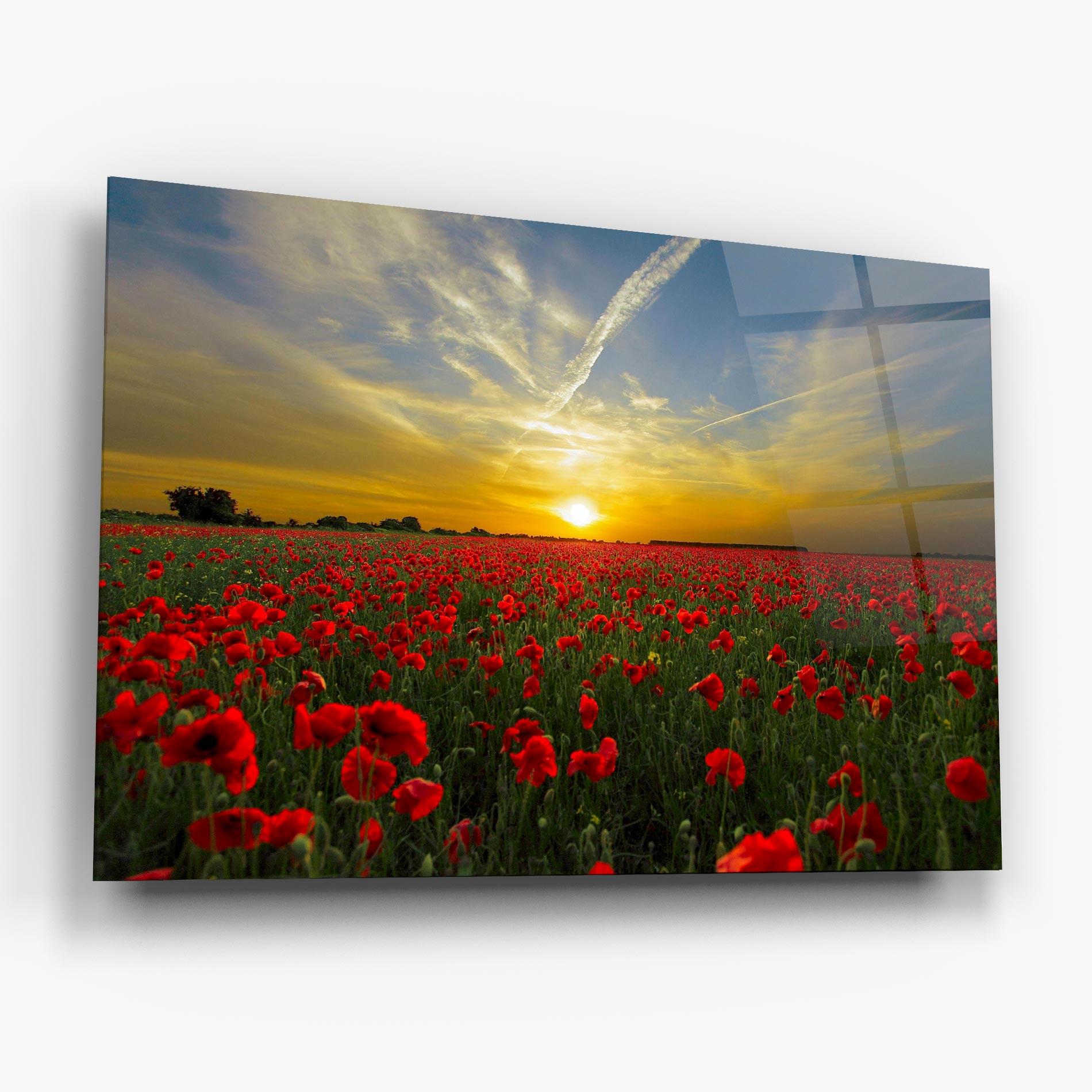 Üvegkép Poppies Sunset mockup 6